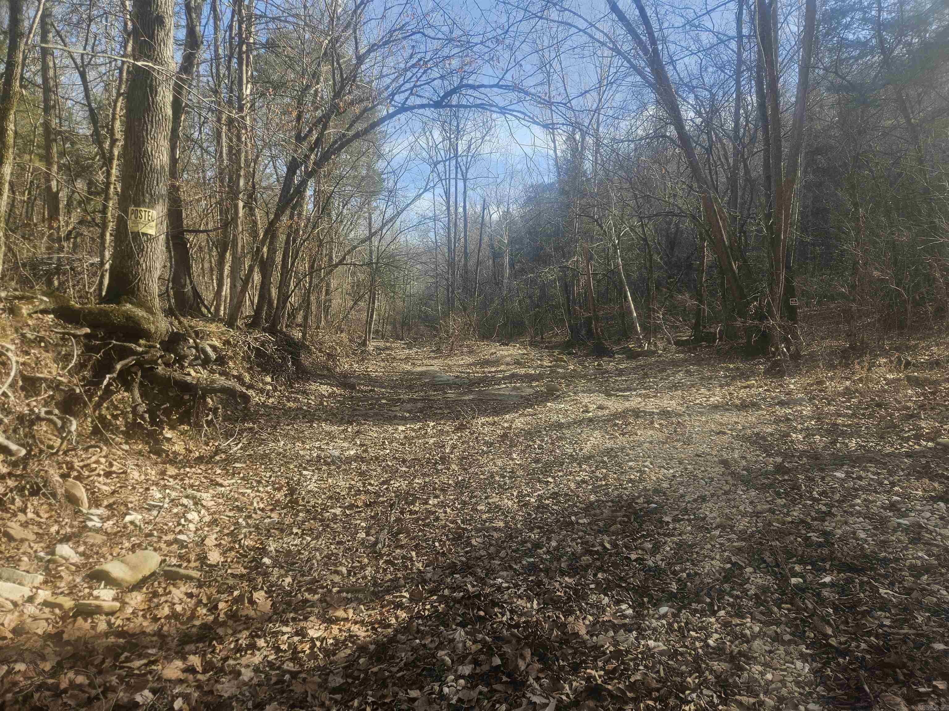 000 Fawn Road Big Flat, AR 72617