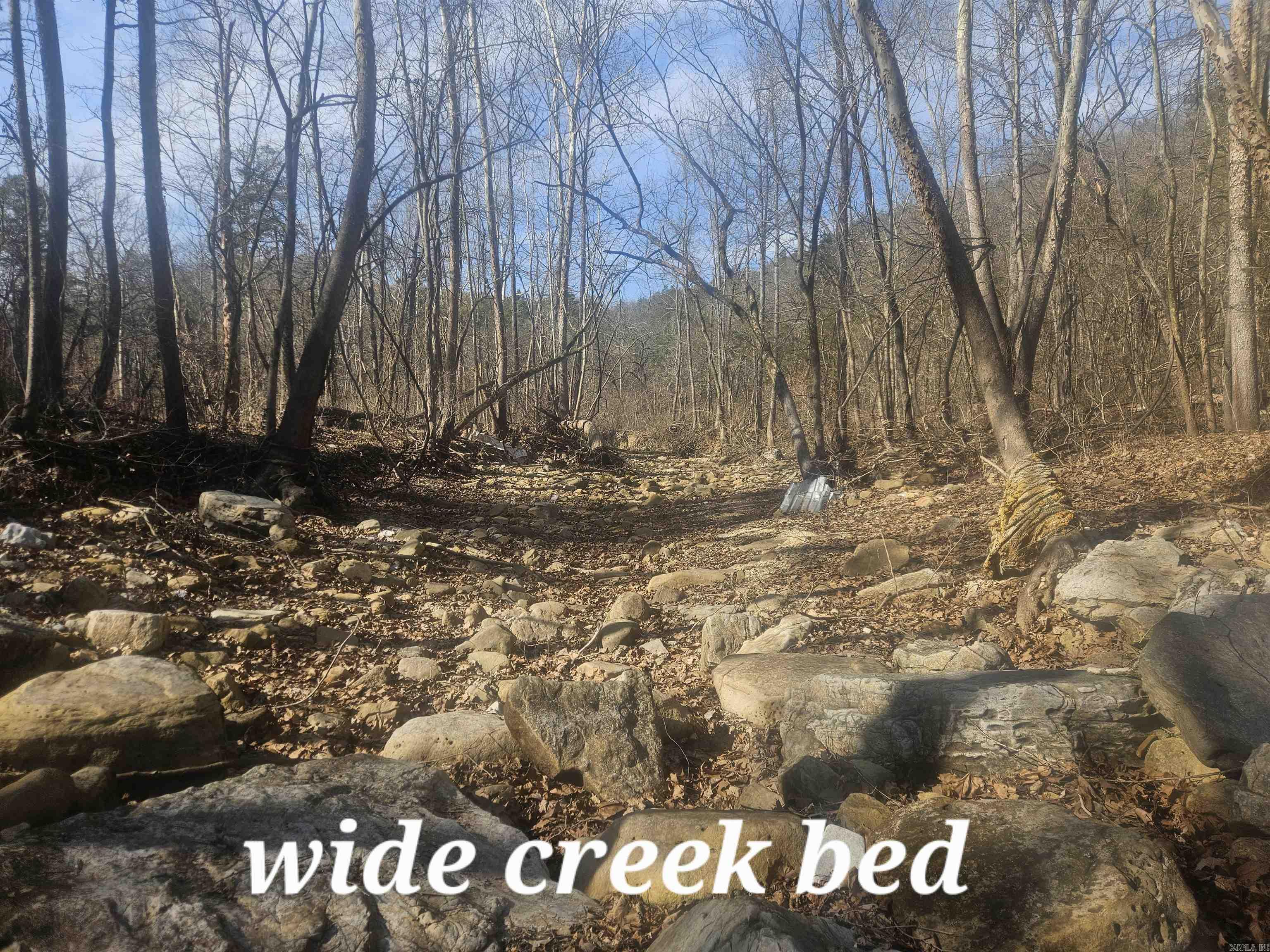 000 Fawn Road Big Flat, AR 72617