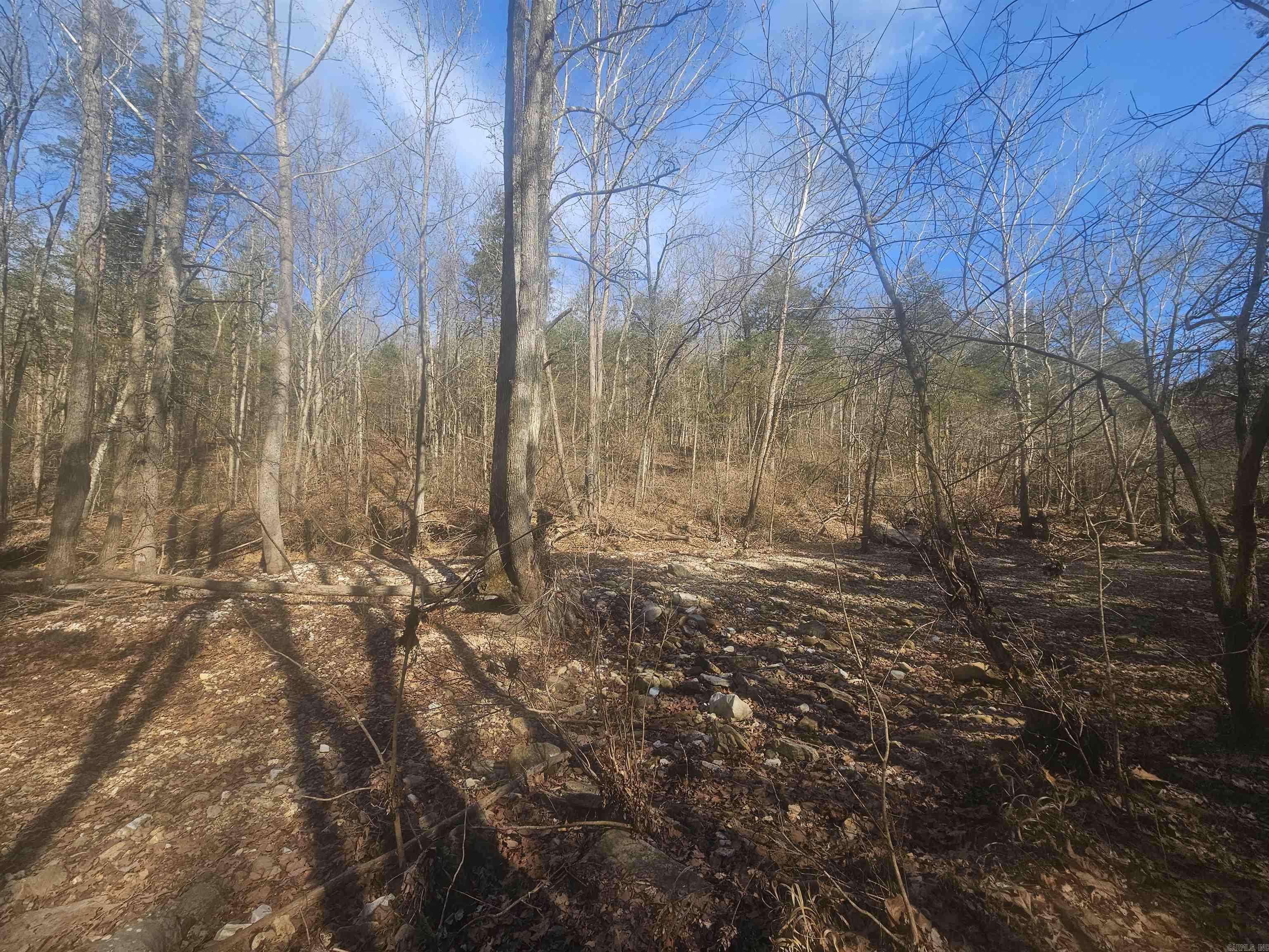 000 Fawn Road Big Flat, AR 72617