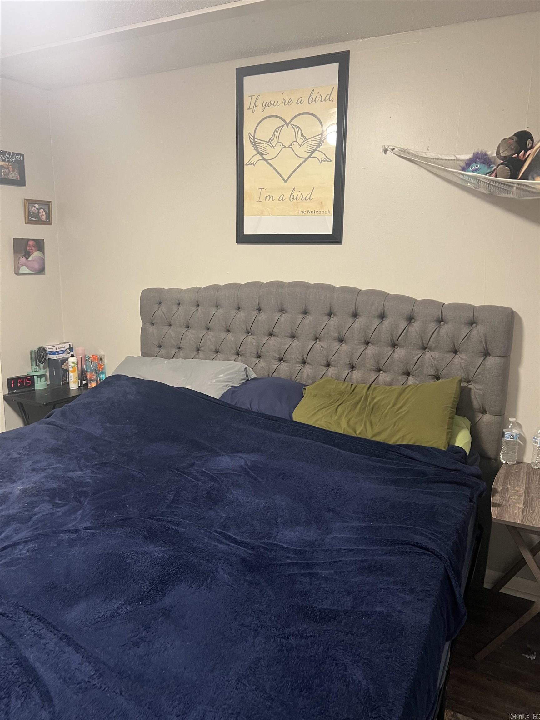 301 W L'anguille  Wynne, AR