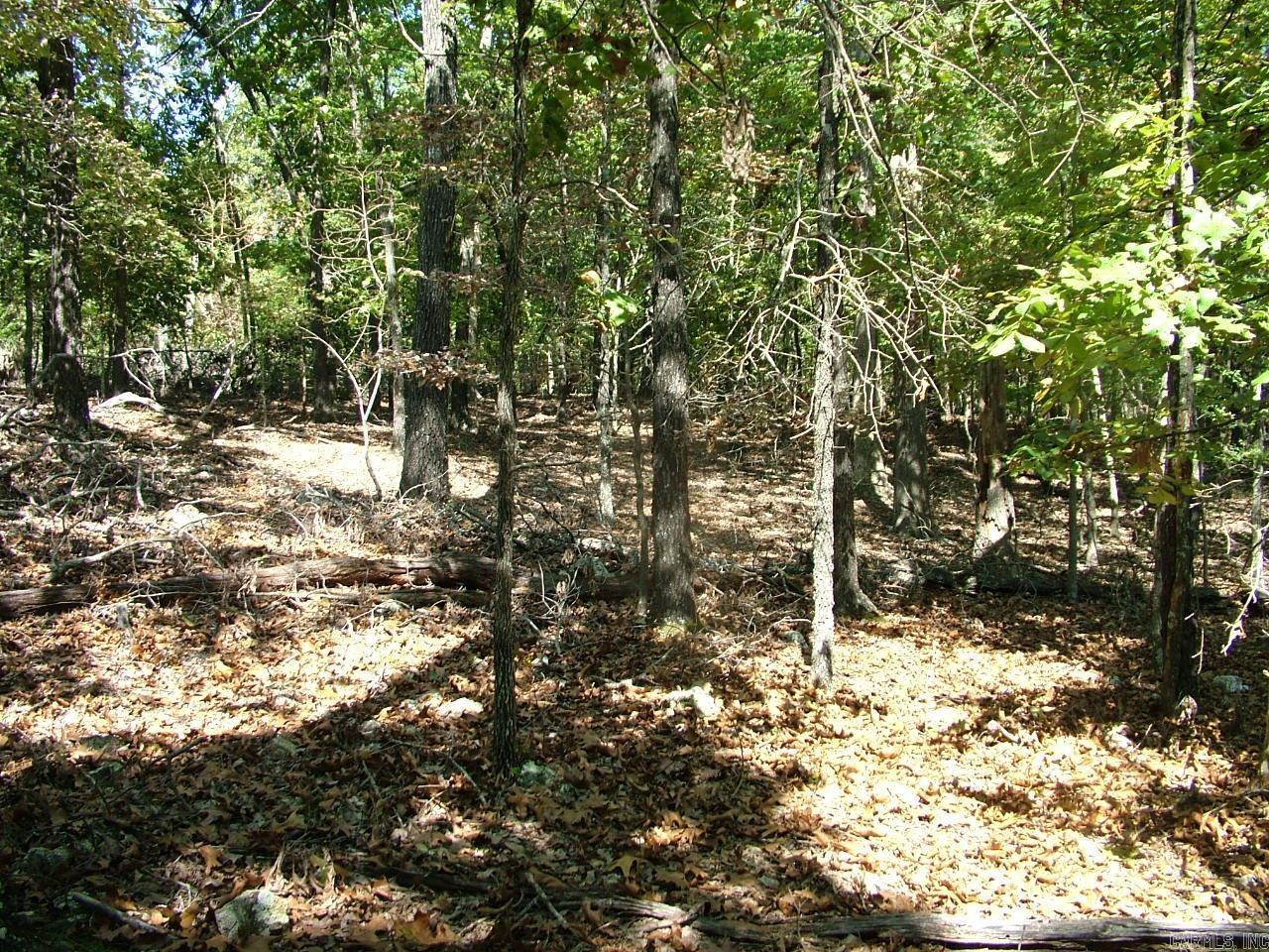 Tracts A,B,C,D Rocky Ridge  Mountain Home, AR