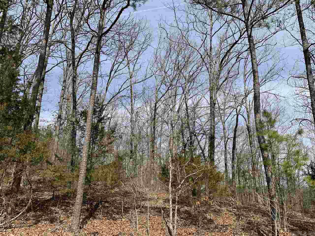 Lot 68 Lower Ridge Circle Edgemont, AR 72044