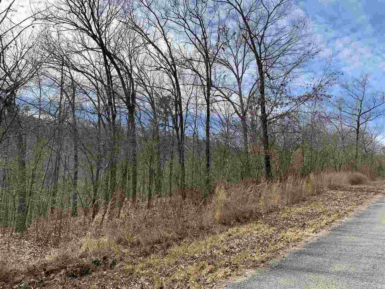 Lot 36 Lower Ridge Circle Edgemont, AR 72044