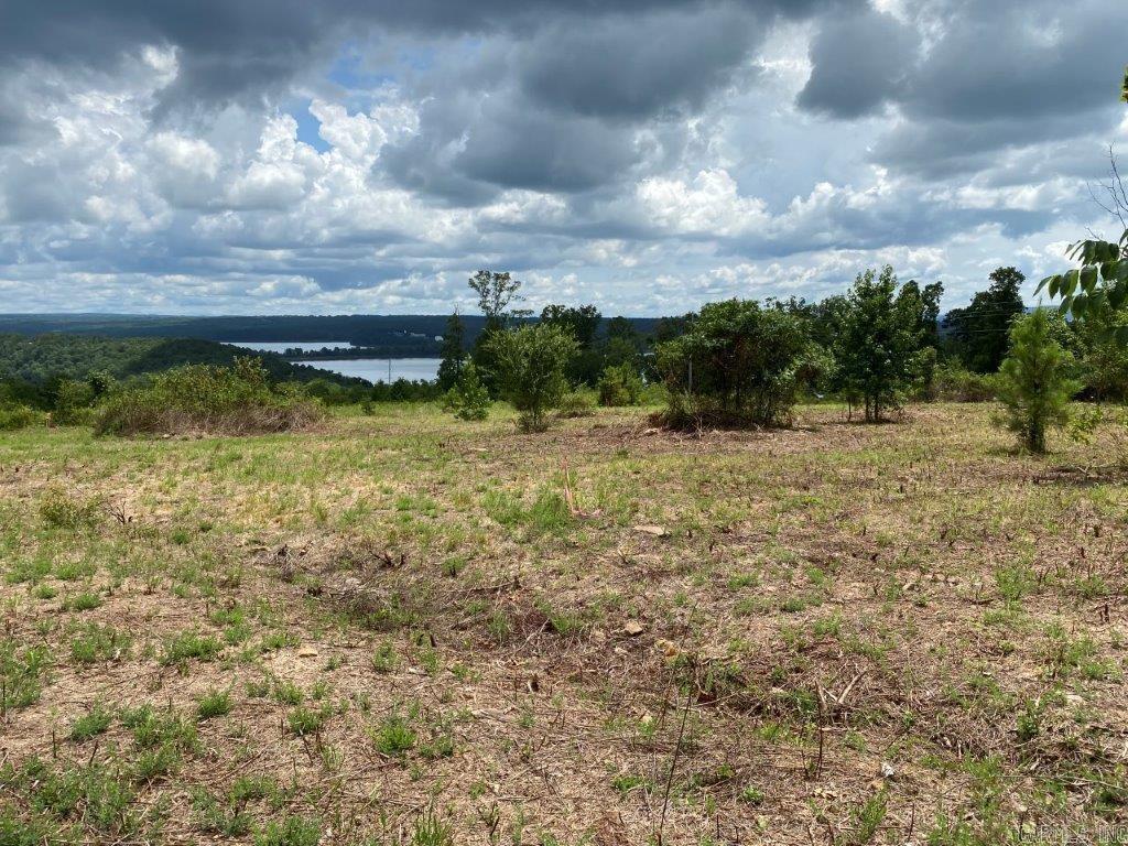 LOT 6 DONHAM Drive Edgemont, AR 72044