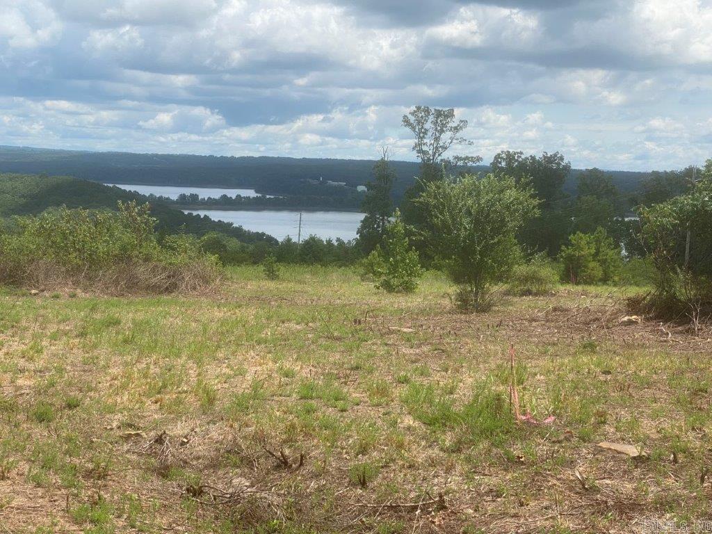 LOT 4 DONHAM Drive Edgemont, AR 72044