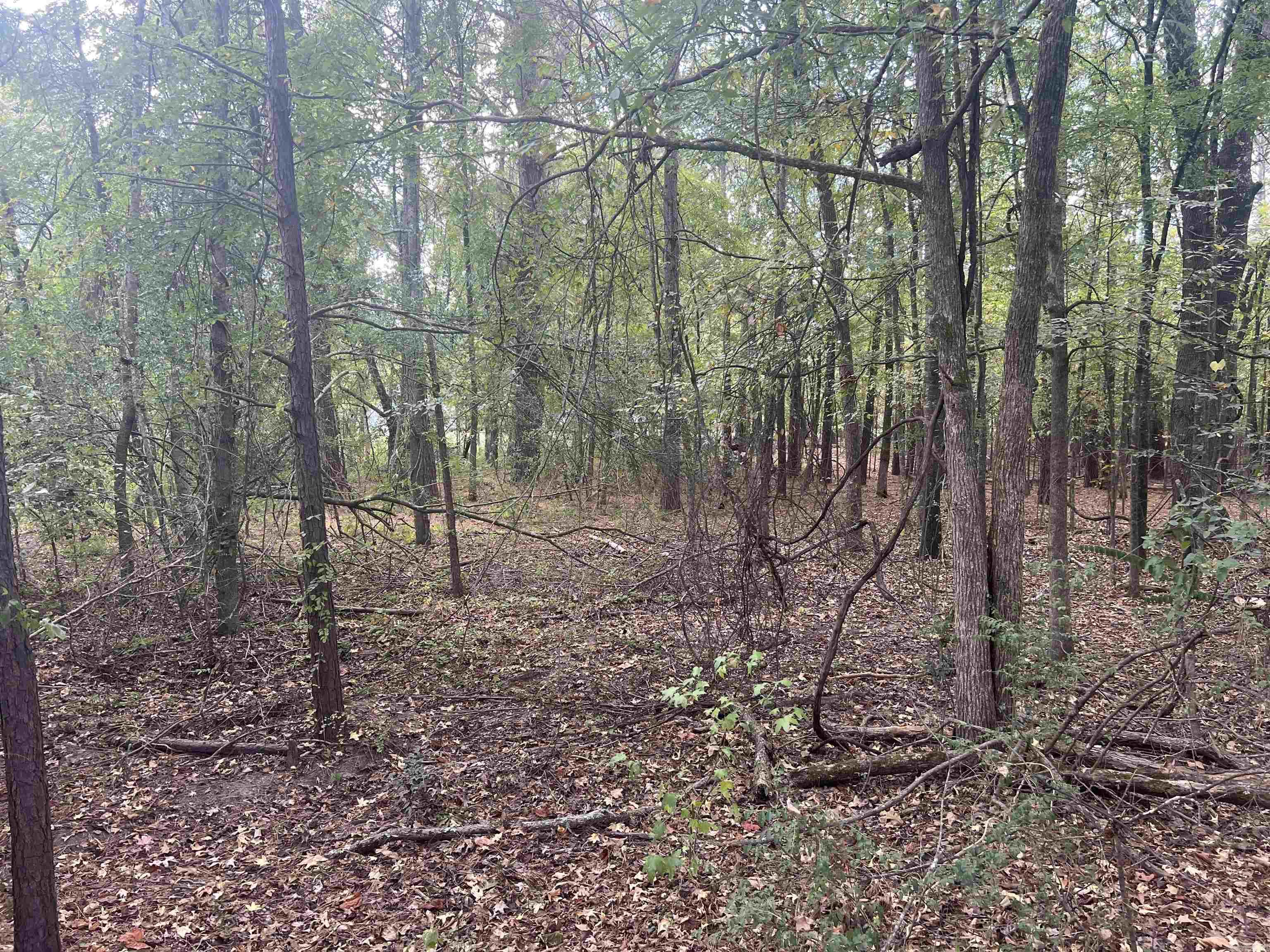 000 Middle Warren Rd  Pine Bluff, AR