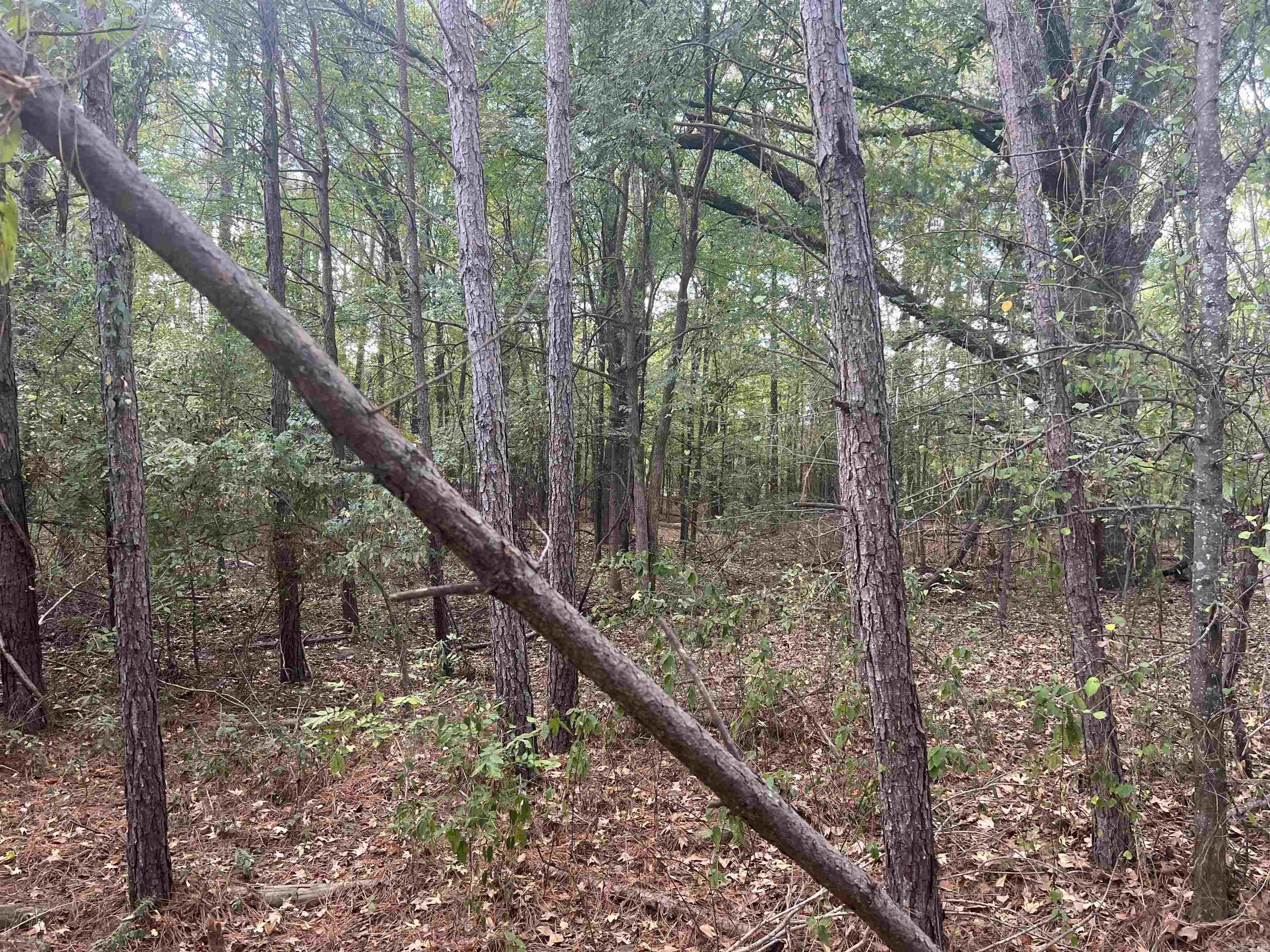 000 Middle Warren Rd  Pine Bluff, AR