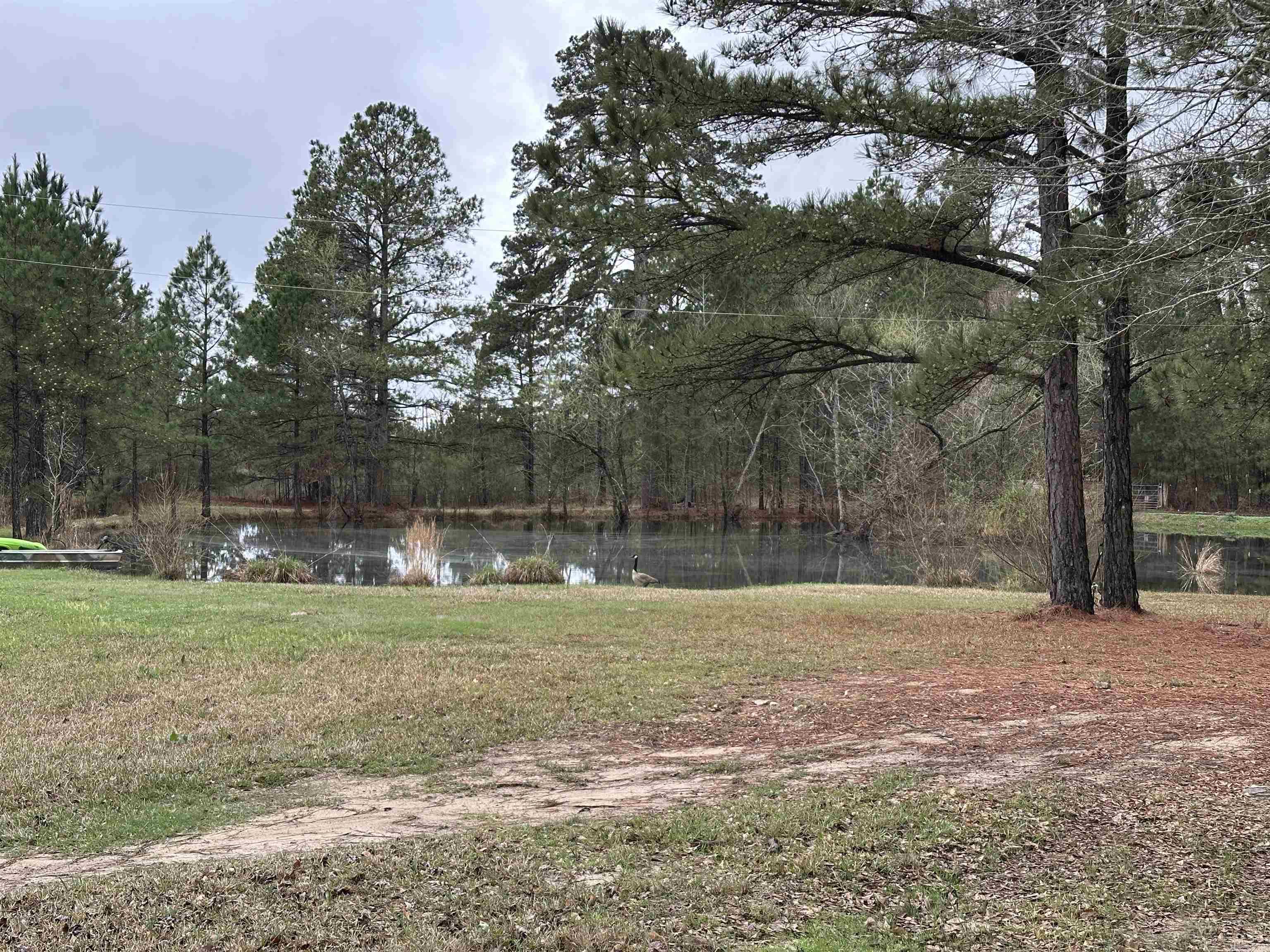 1000 Quapaw  Bismarck, AR