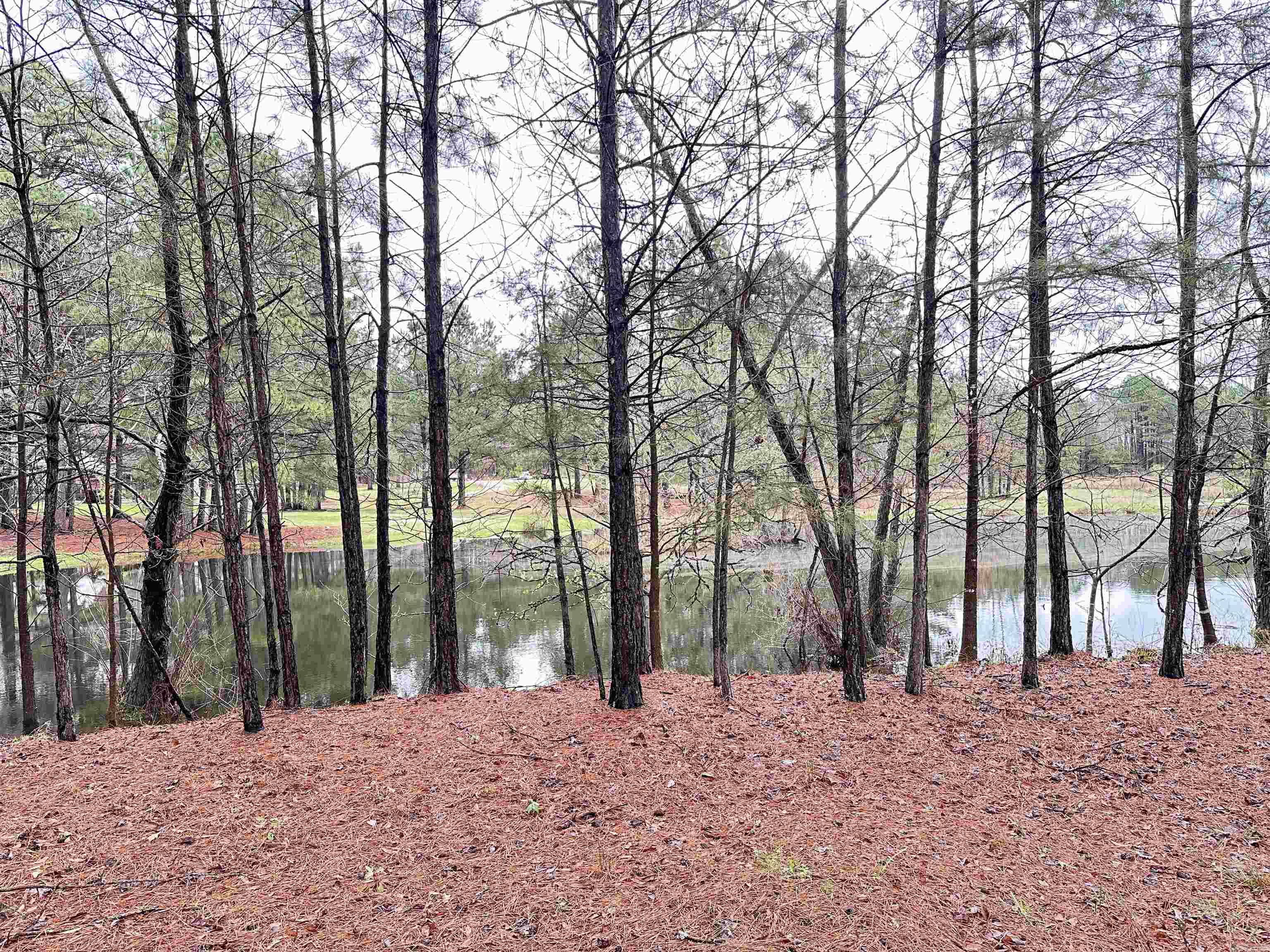 1000 Quapaw  Bismarck, AR