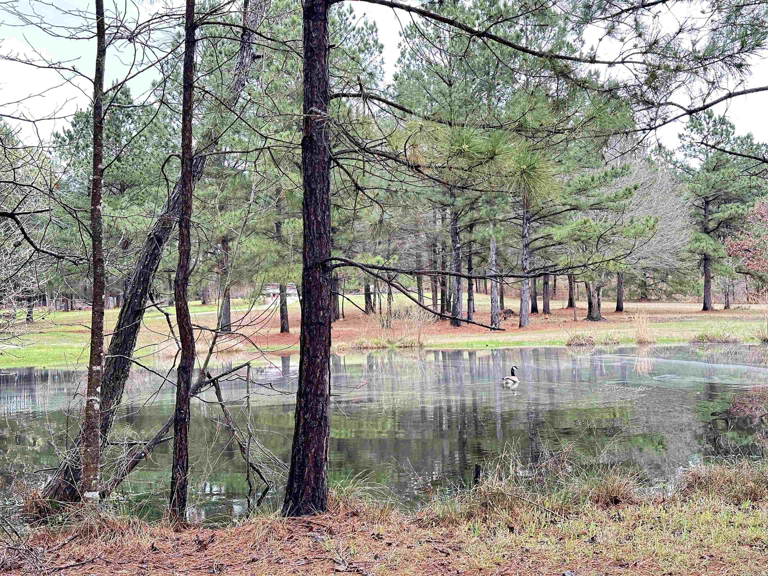 1000 Quapaw  Bismarck, AR