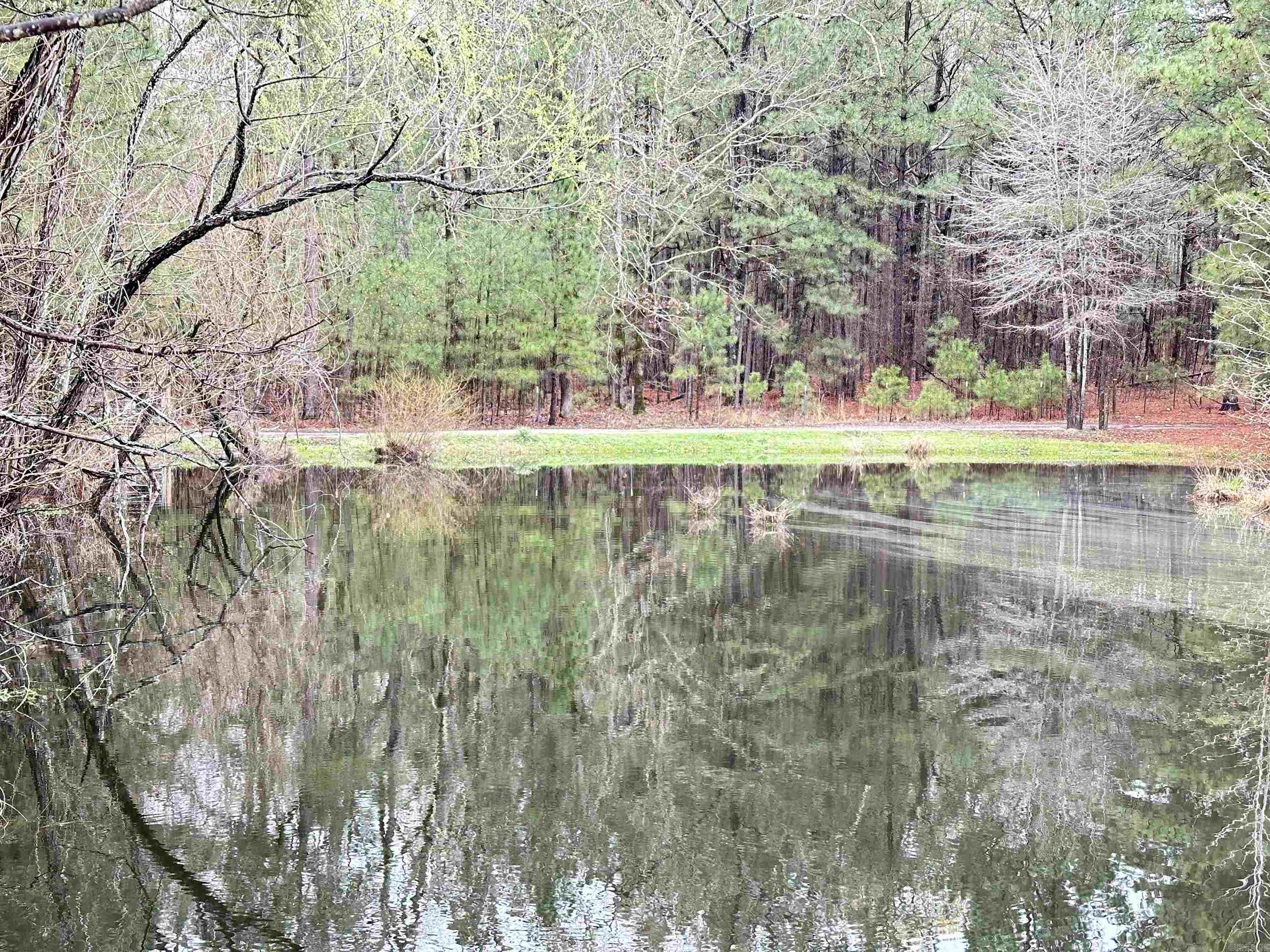 1000 Quapaw  Bismarck, AR