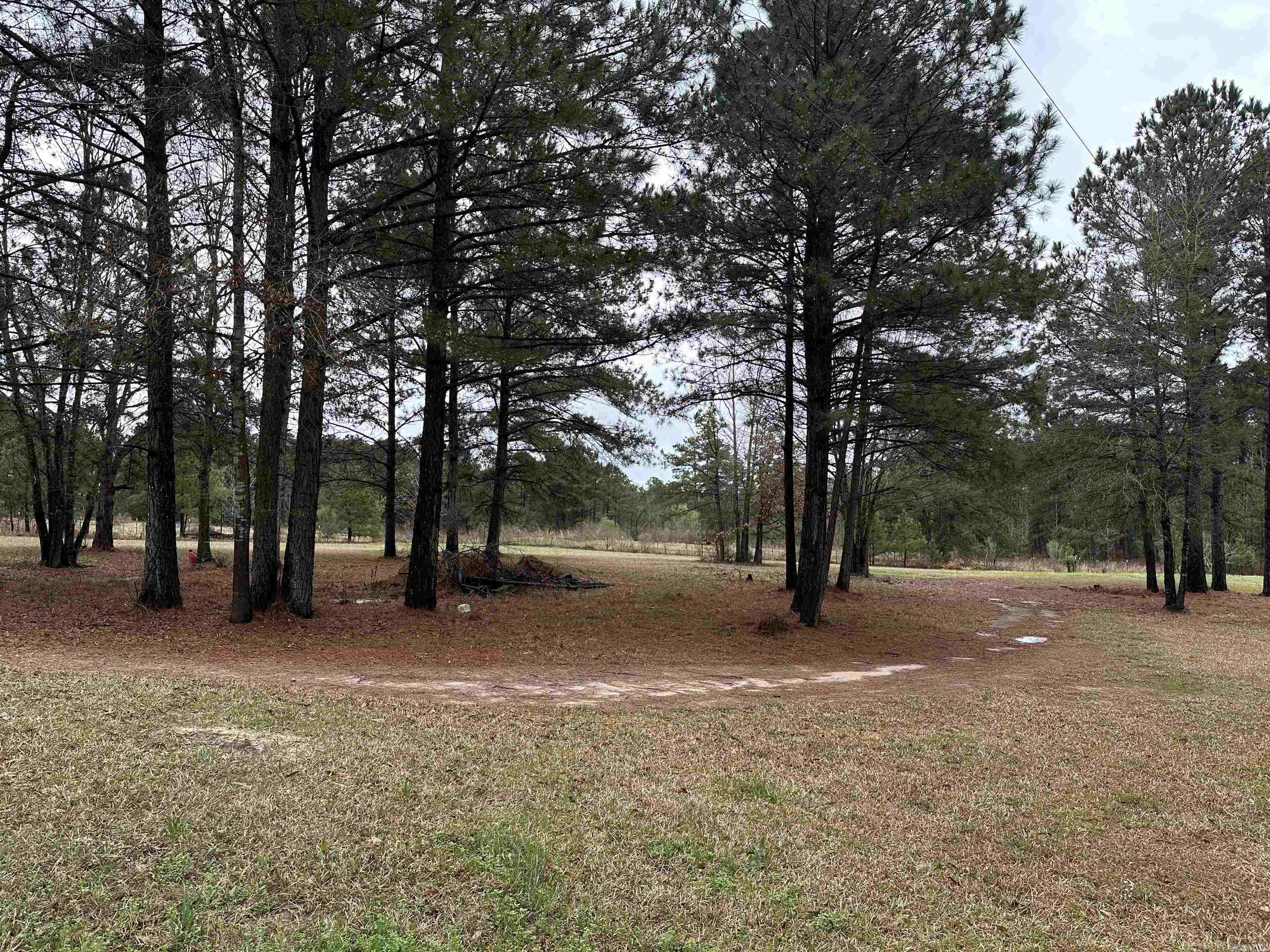 1000 Quapaw  Bismarck, AR