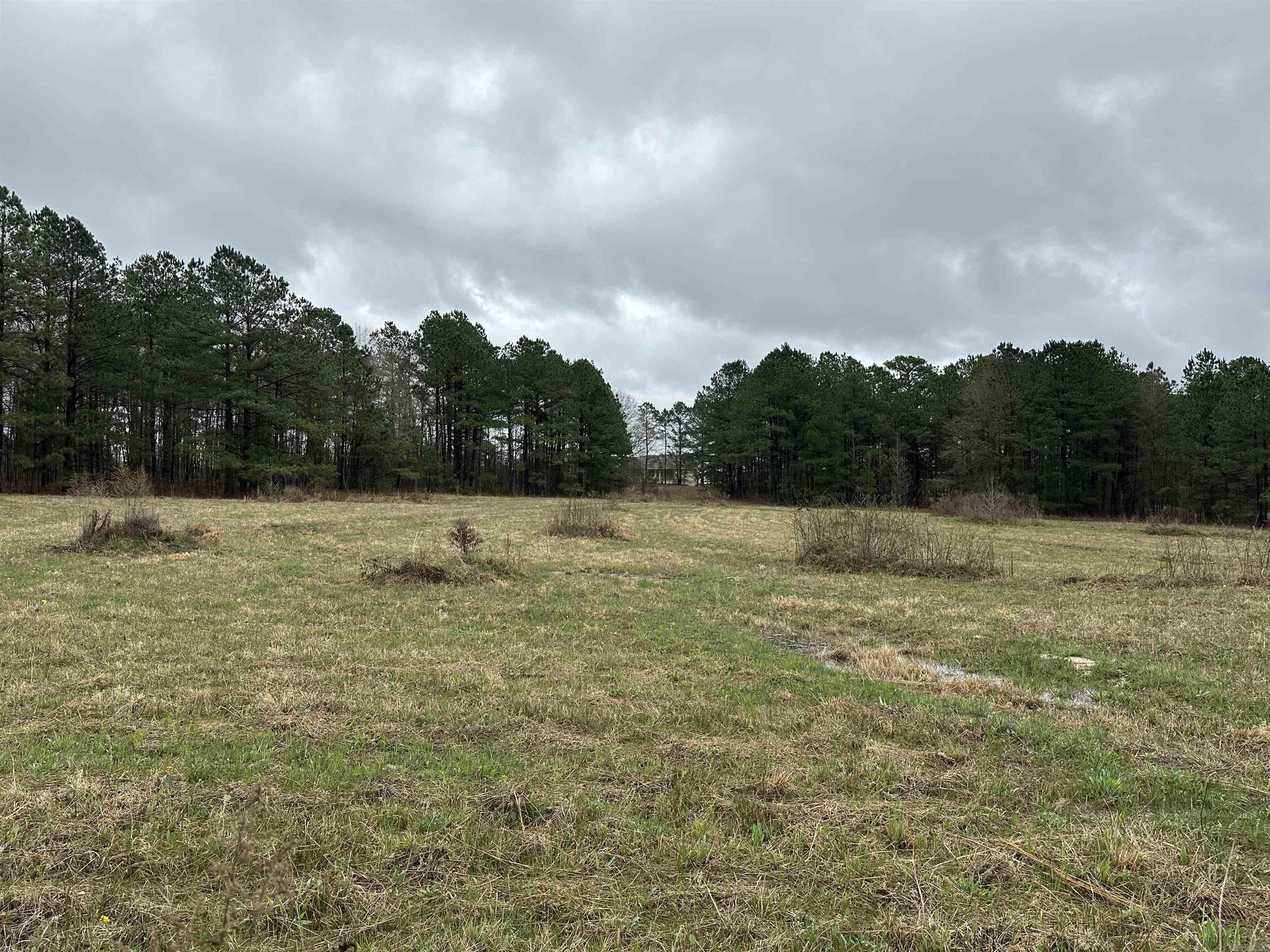 1000 Quapaw  Bismarck, AR