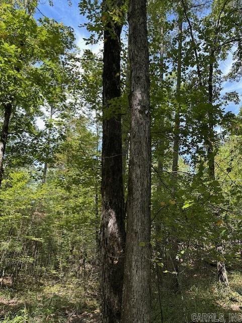 000 Ross Hollow  Roland, AR