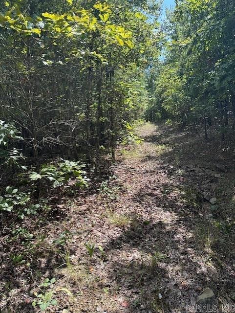 000 Ross Hollow  Roland, AR