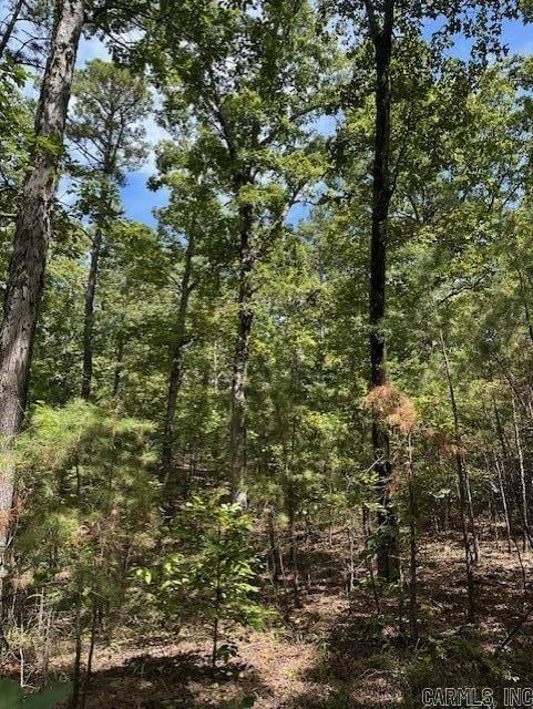 000 Ross Hollow  Roland, AR