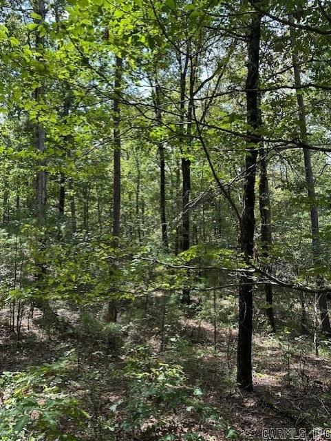 000 Ross Hollow  Roland, AR