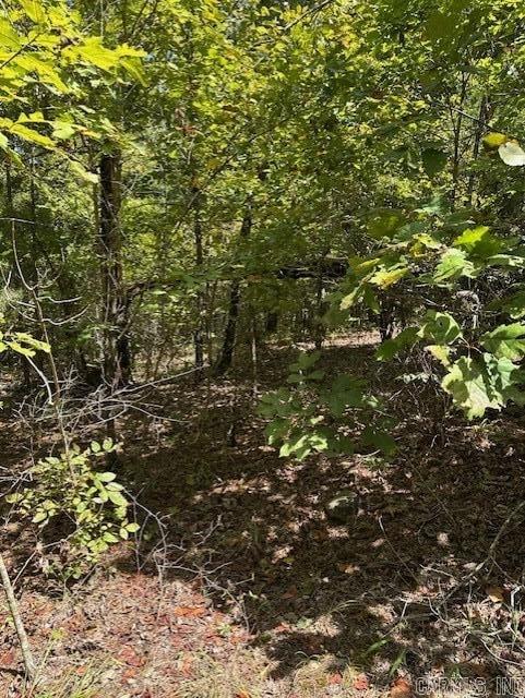 000 Ross Hollow  Roland, AR