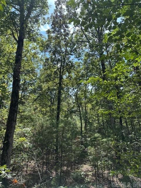 000 Ross Hollow  Roland, AR