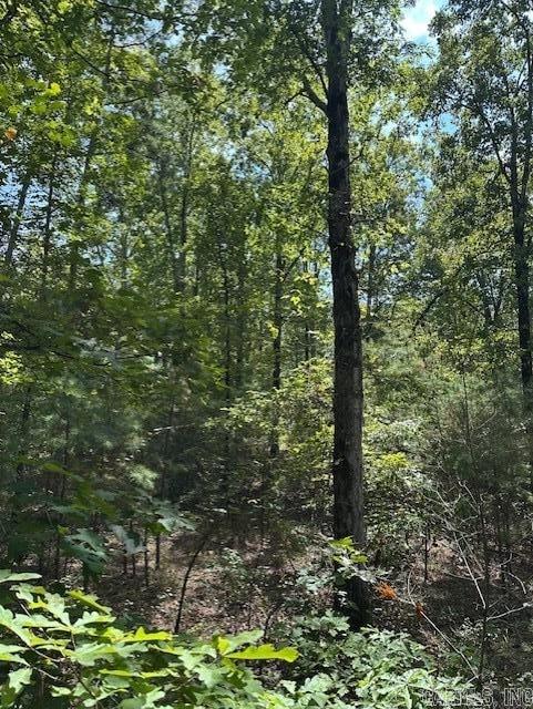 000 Ross Hollow  Roland, AR