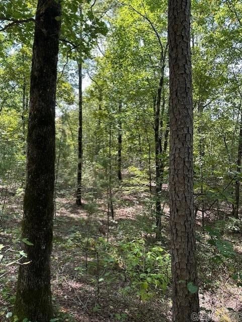 000 Ross Hollow  Roland, AR