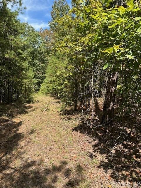 000 Ross Hollow  Roland, AR