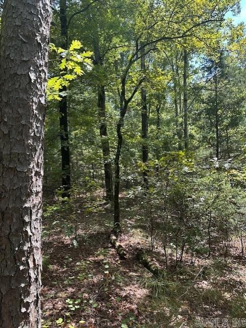 000 Ross Hollow  Roland, AR