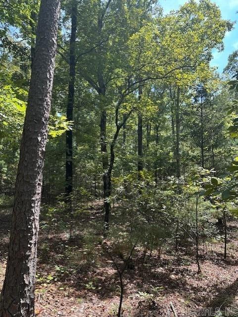 000 Ross Hollow  Roland, AR