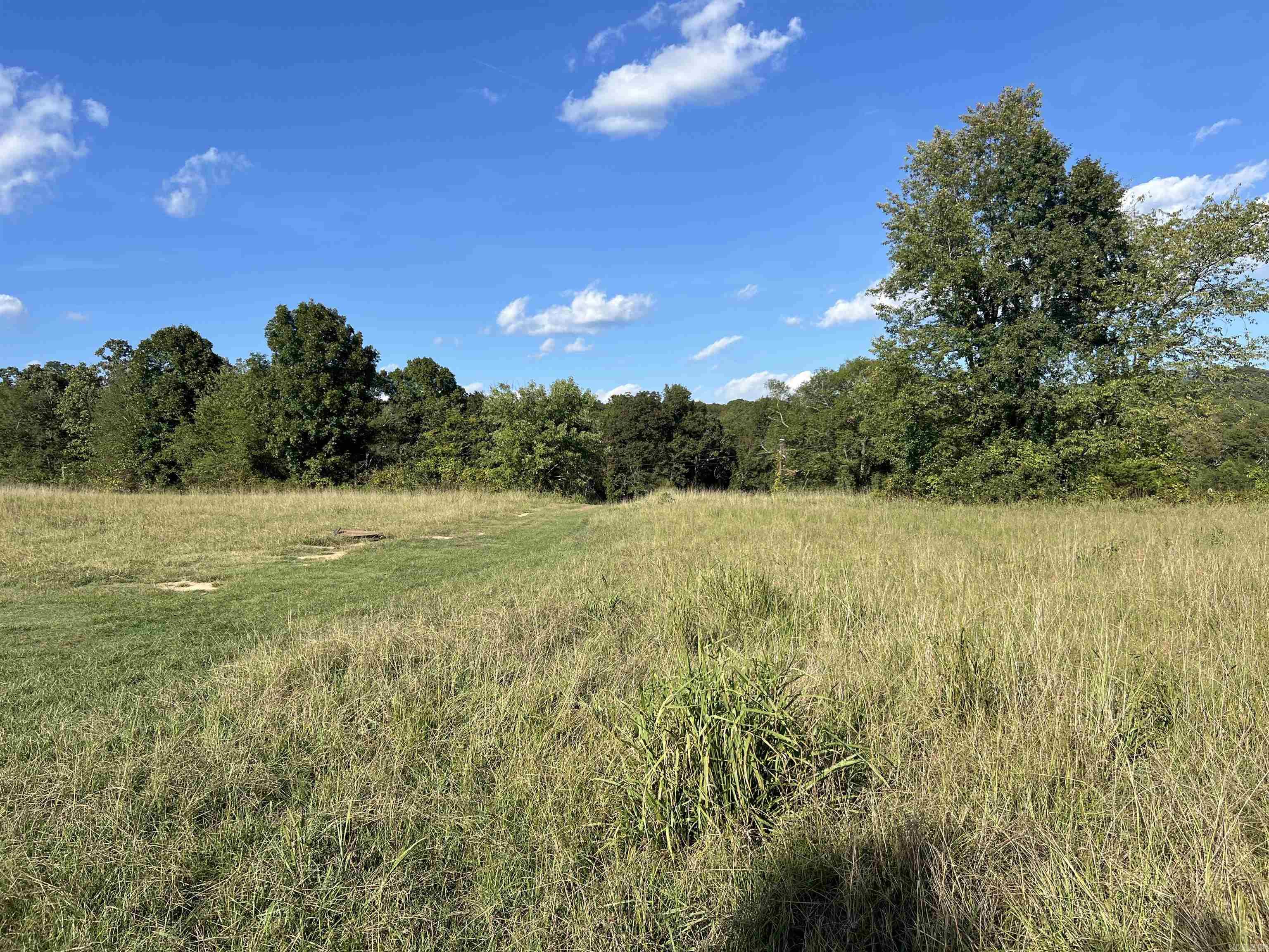 1435 Burnt Ridge Rd (Cabin)  Shirley, AR