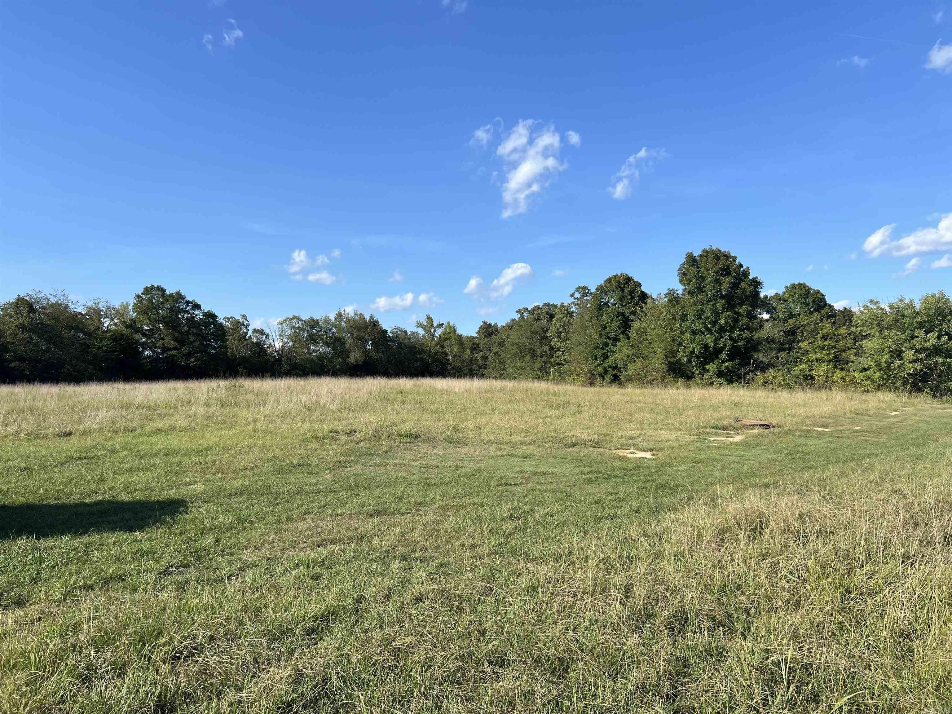 1435 Burnt Ridge Rd (Cabin)  Shirley, AR