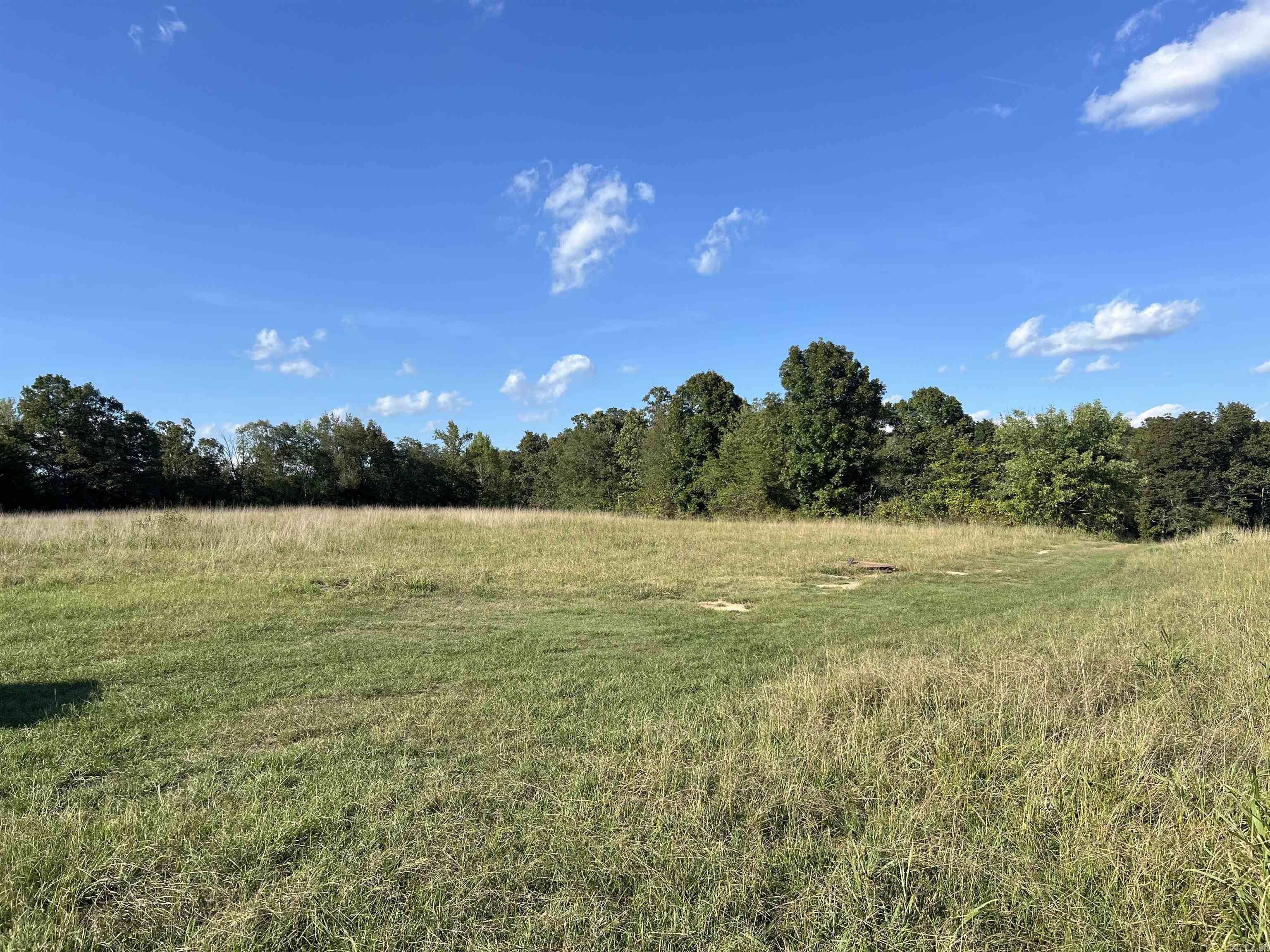 1435 Burnt Ridge Rd (Cabin)  Shirley, AR