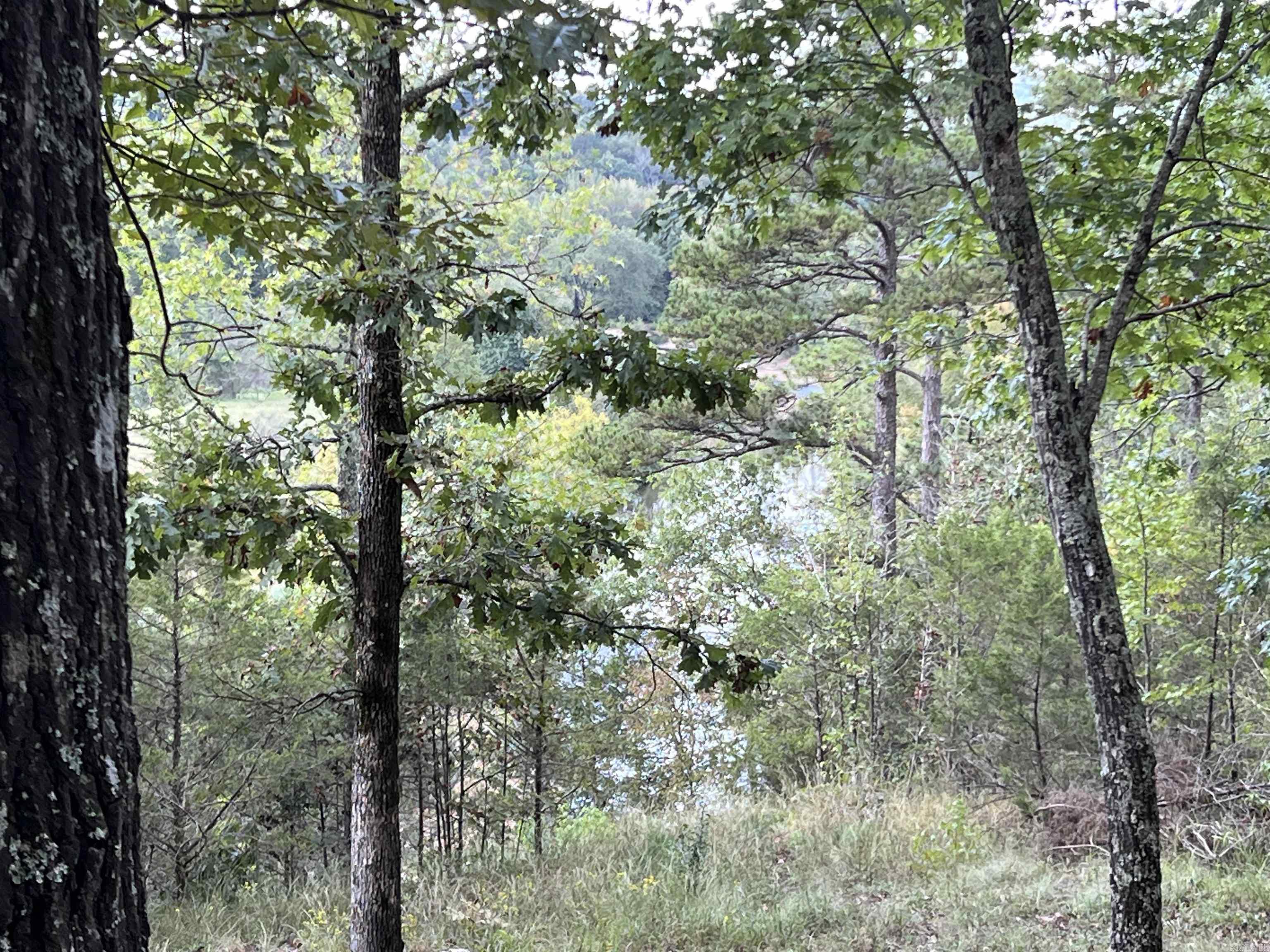 1435 Burnt Ridge Rd (Mobile)  Shirley, AR