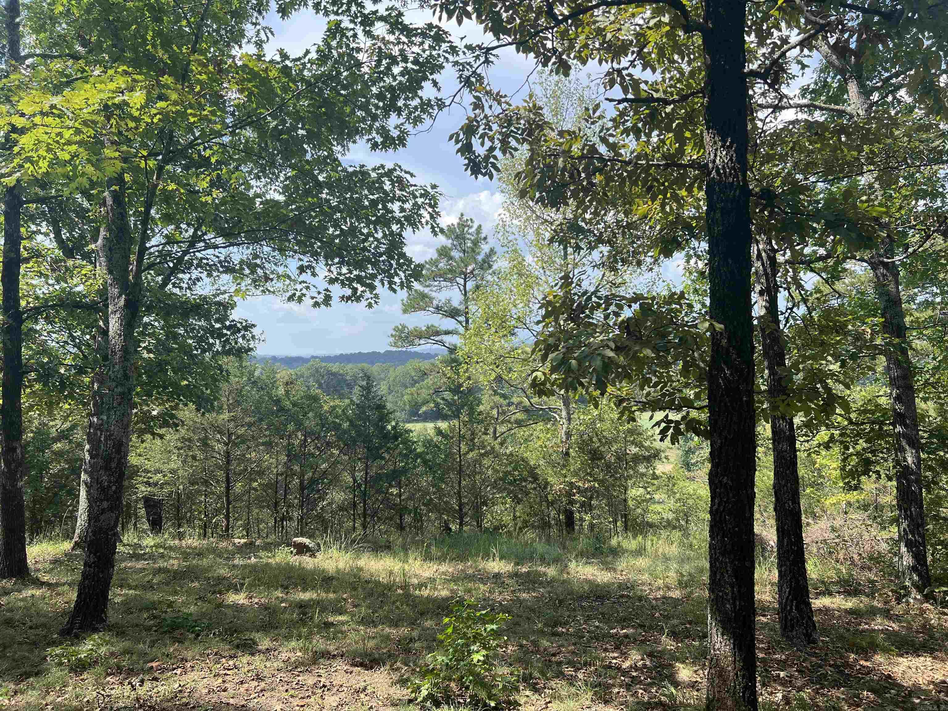 1435 Burnt Ridge Rd (Mobile)  Shirley, AR