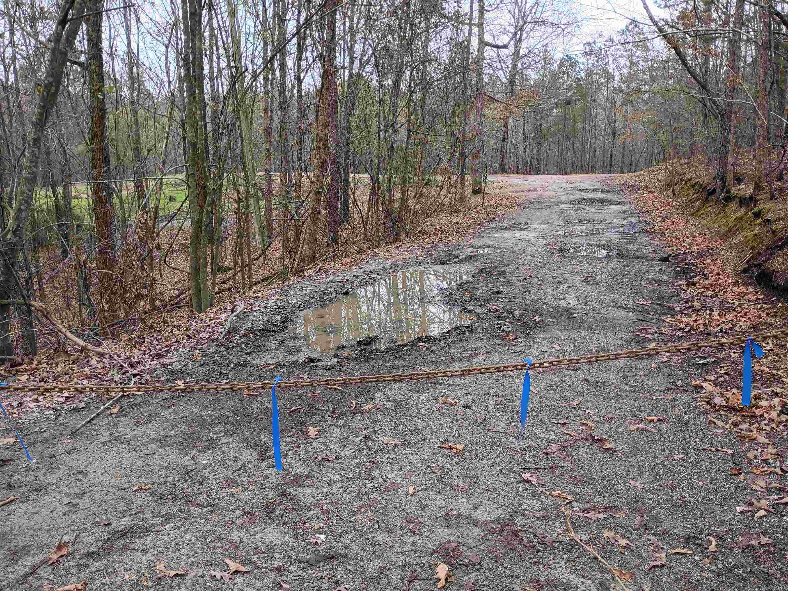 384 Marla Marie Trl  Hot Springs, AR