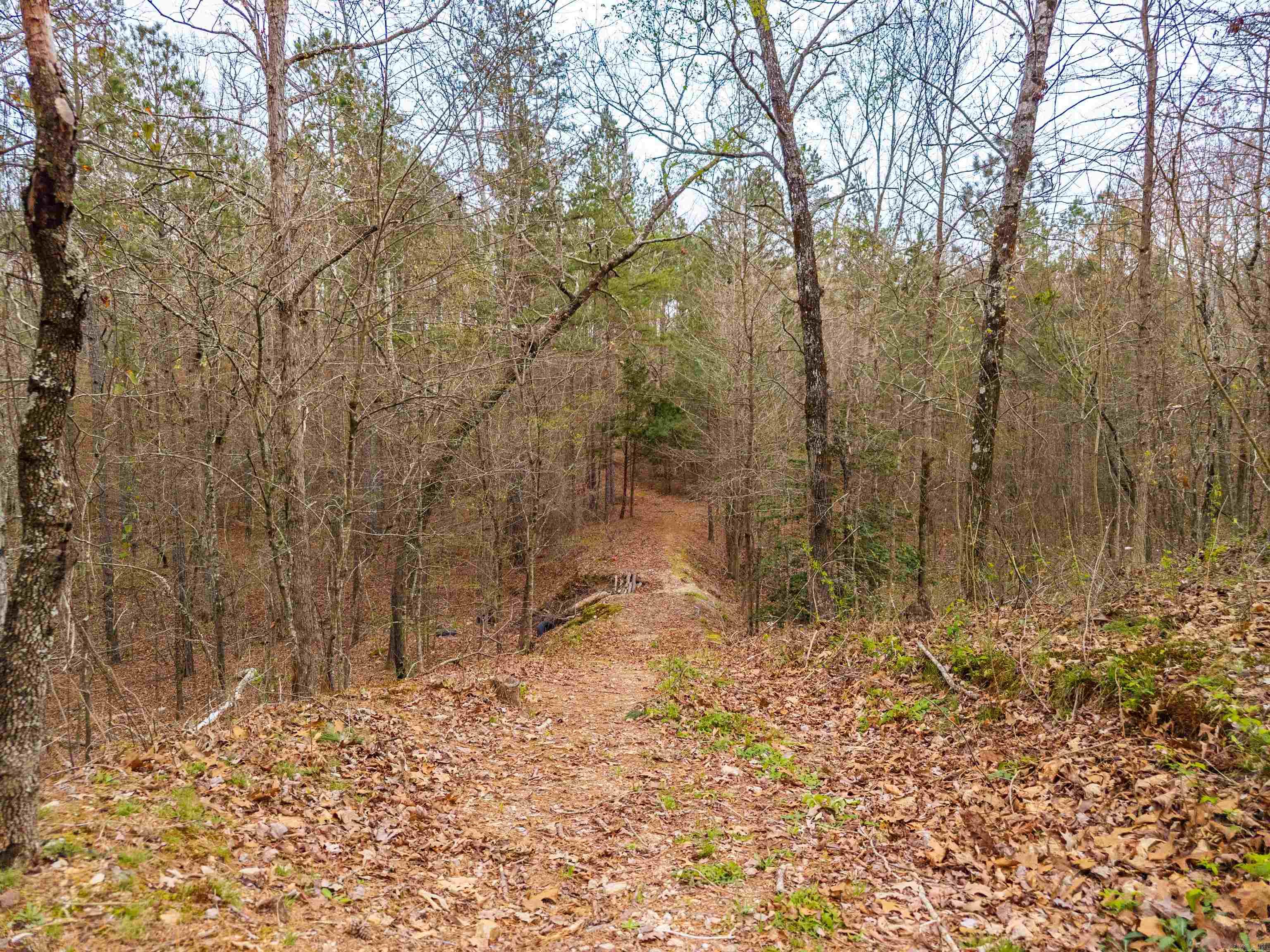 384 Marla Marie Trl  Hot Springs, AR