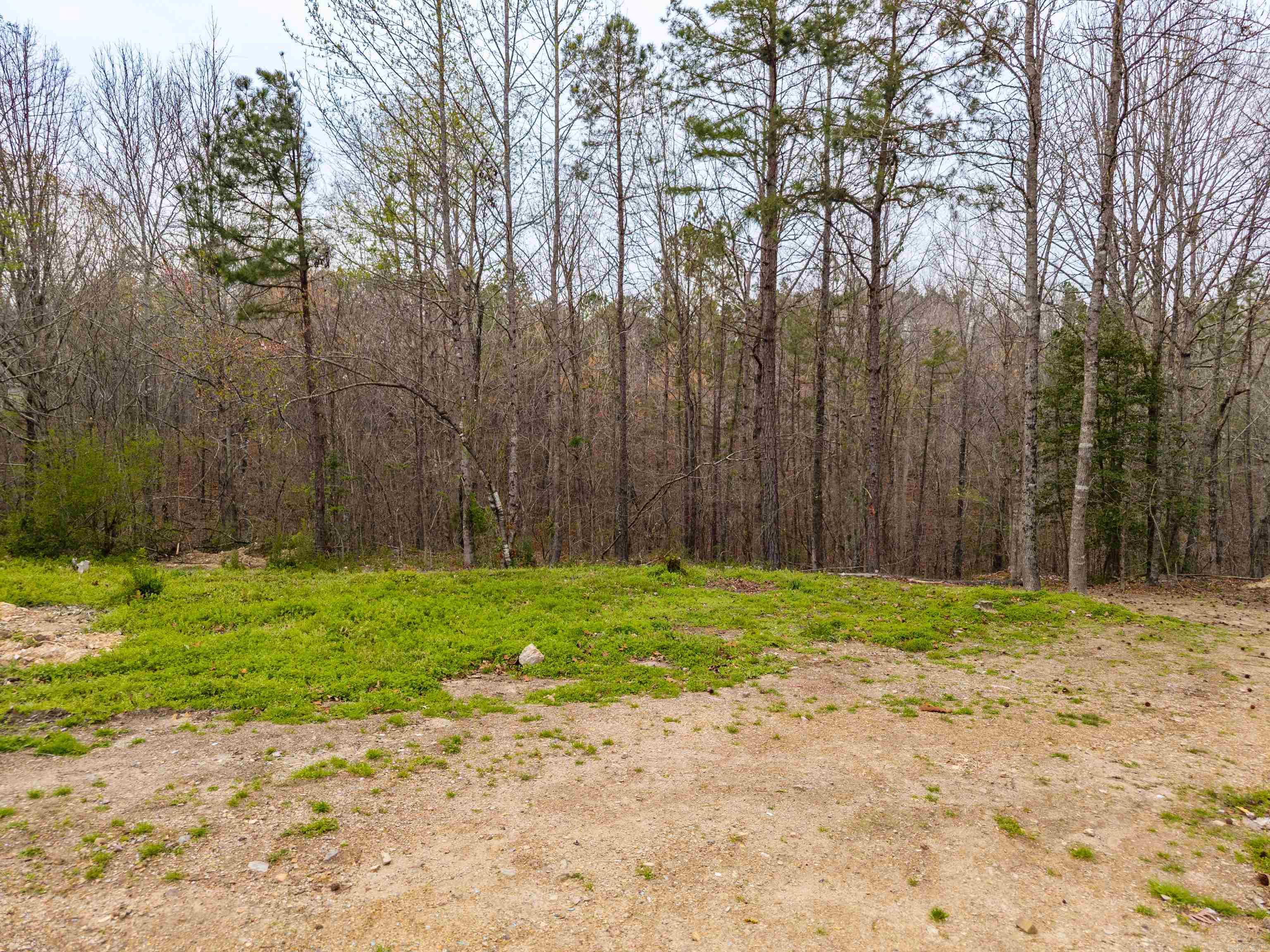 384 Marla Marie Trl  Hot Springs, AR