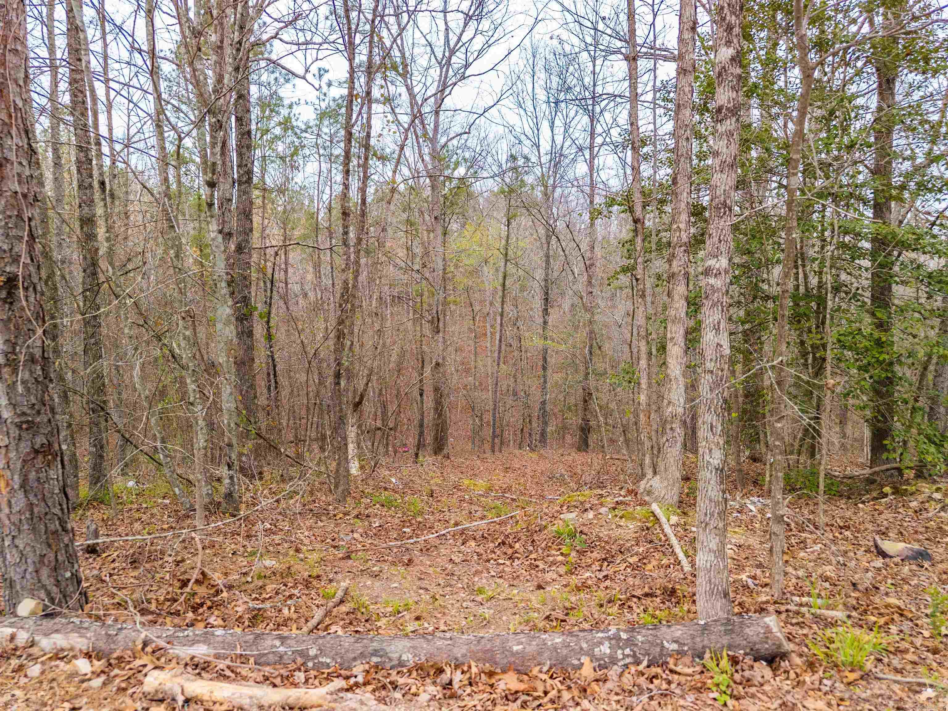 384 Marla Marie Trl  Hot Springs, AR