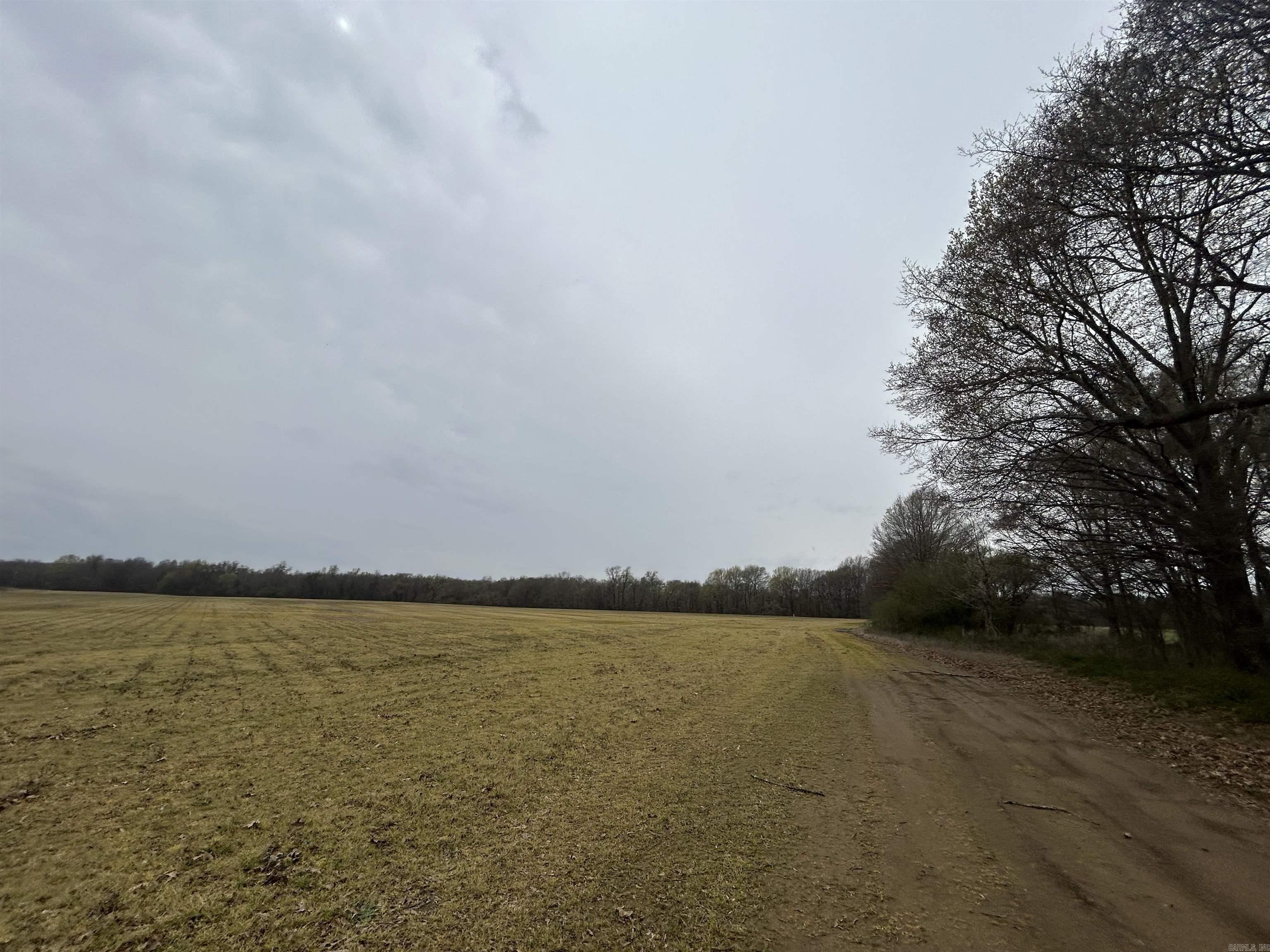  SFC 255  Palestine, AR