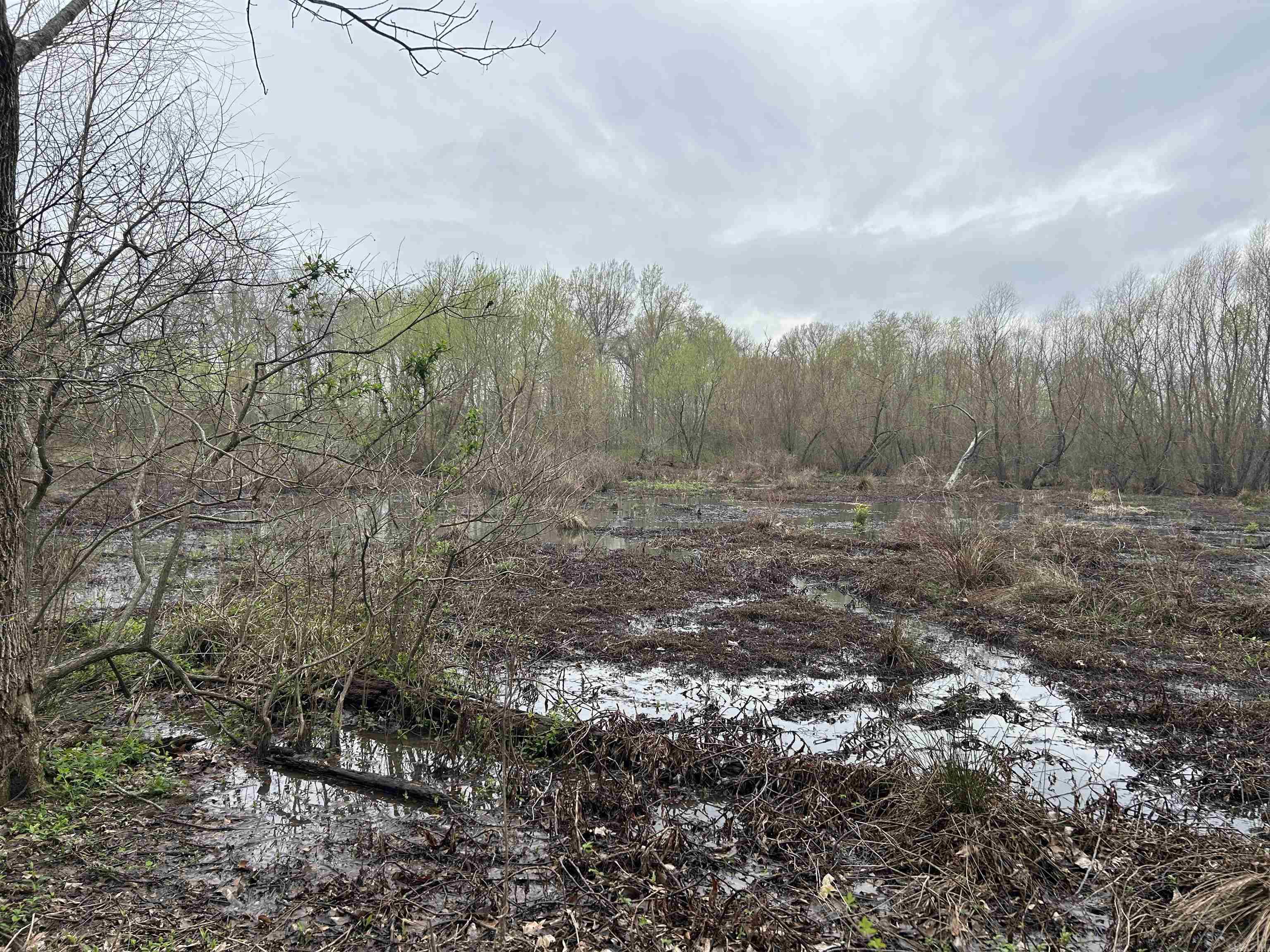  SFC 255  Palestine, AR