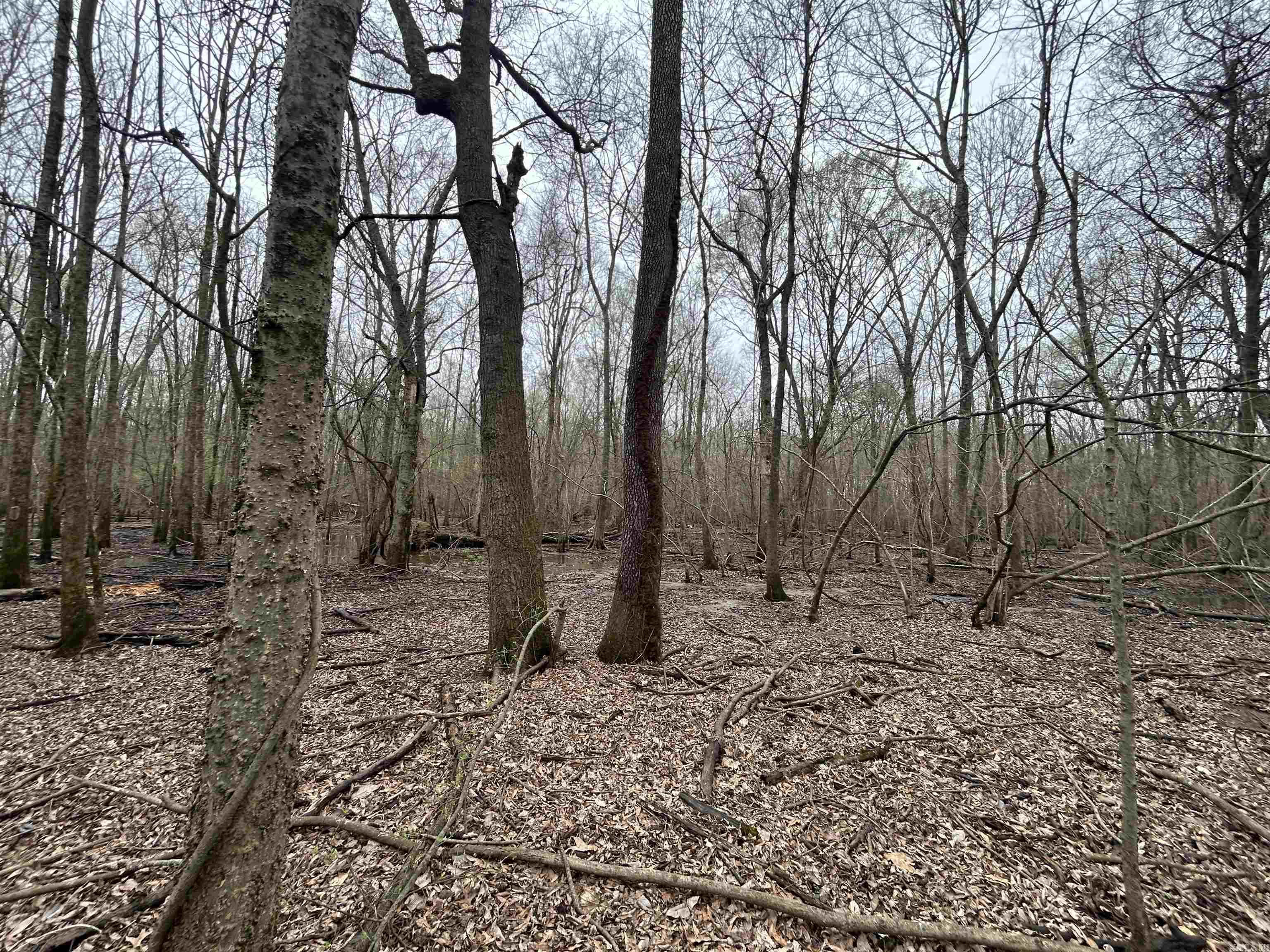  SFC 255  Palestine, AR