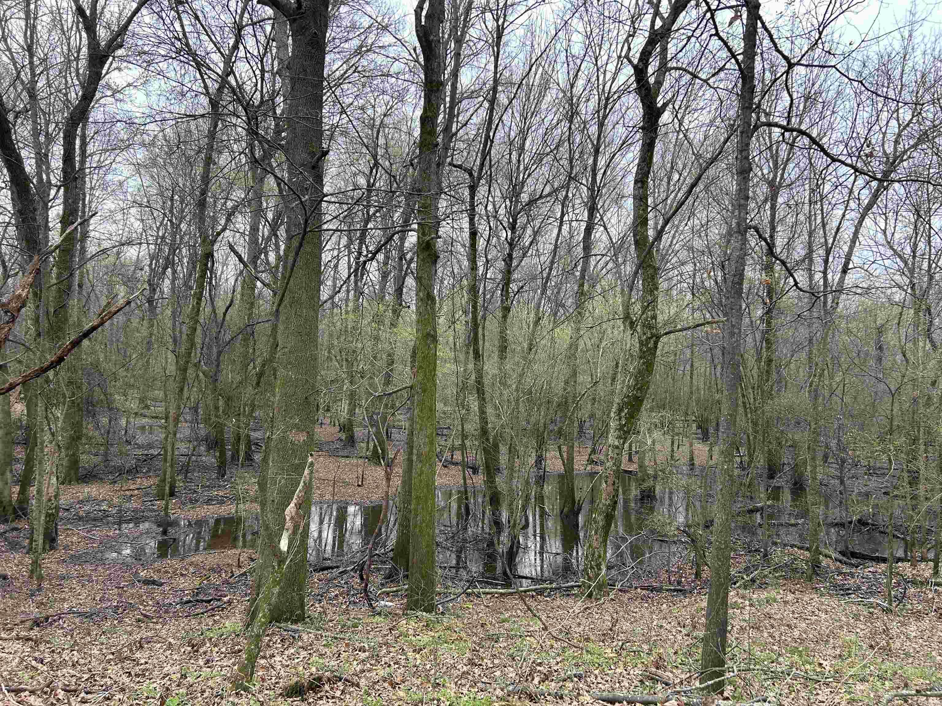  SFC 255  Palestine, AR