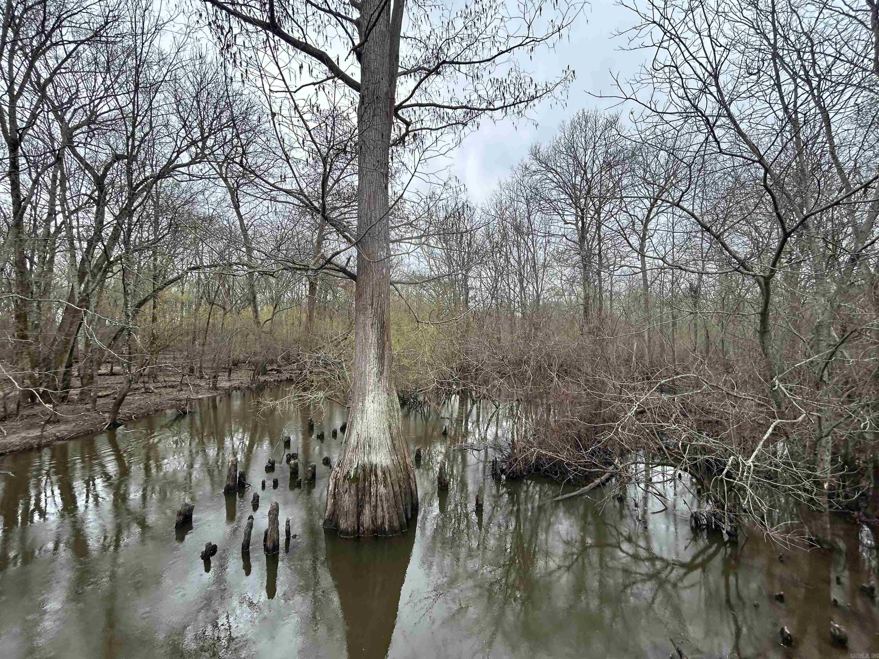  SFC 255  Palestine, AR