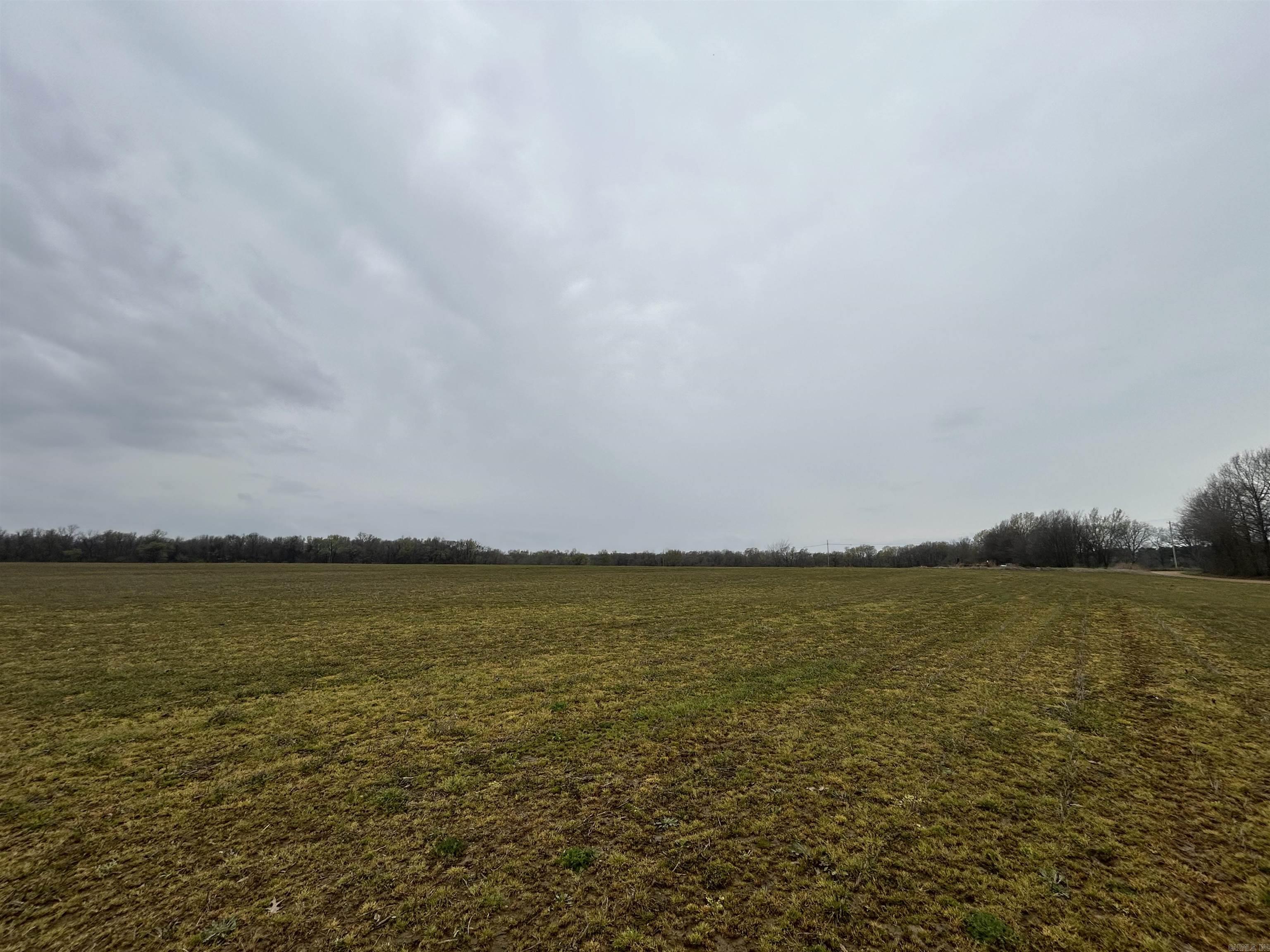  SFC 255  Palestine, AR