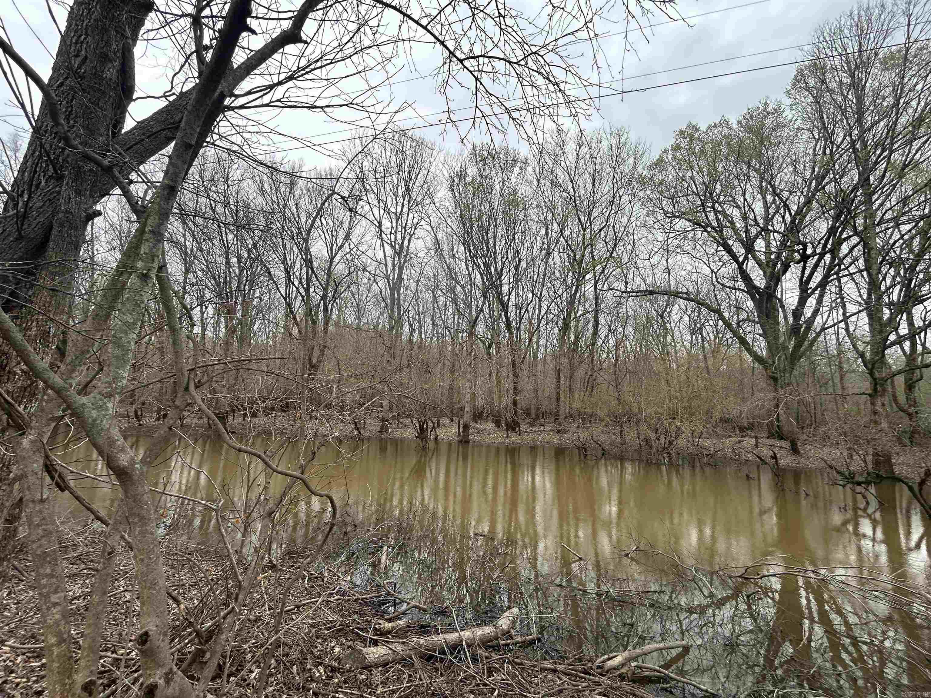  SFC 255  Palestine, AR