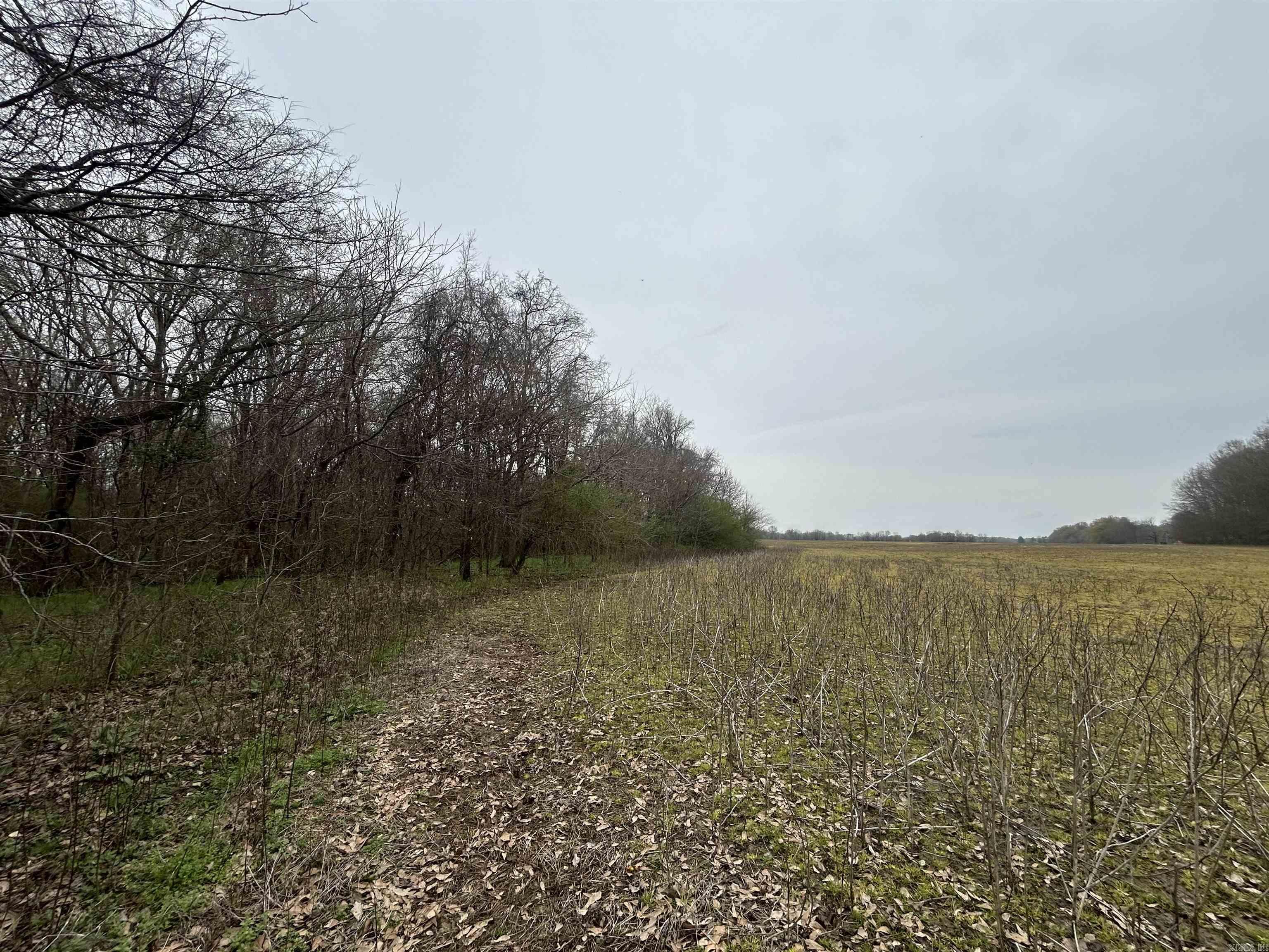  SFC 255  Palestine, AR