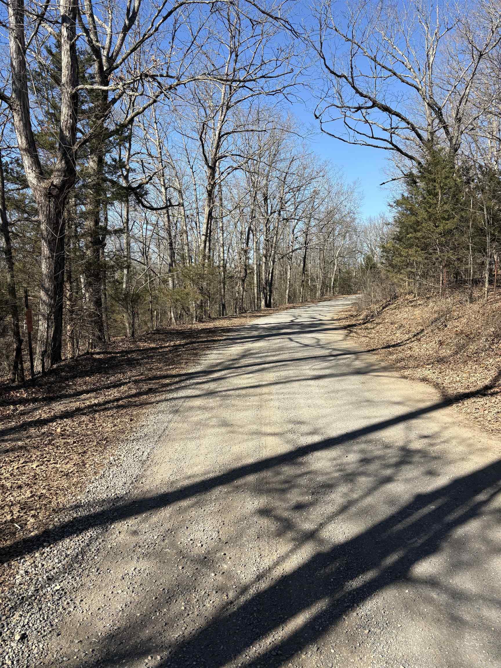 000 fawn  Harriet, AR