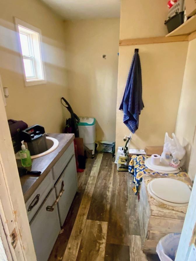 29 Oriole  Williford, AR