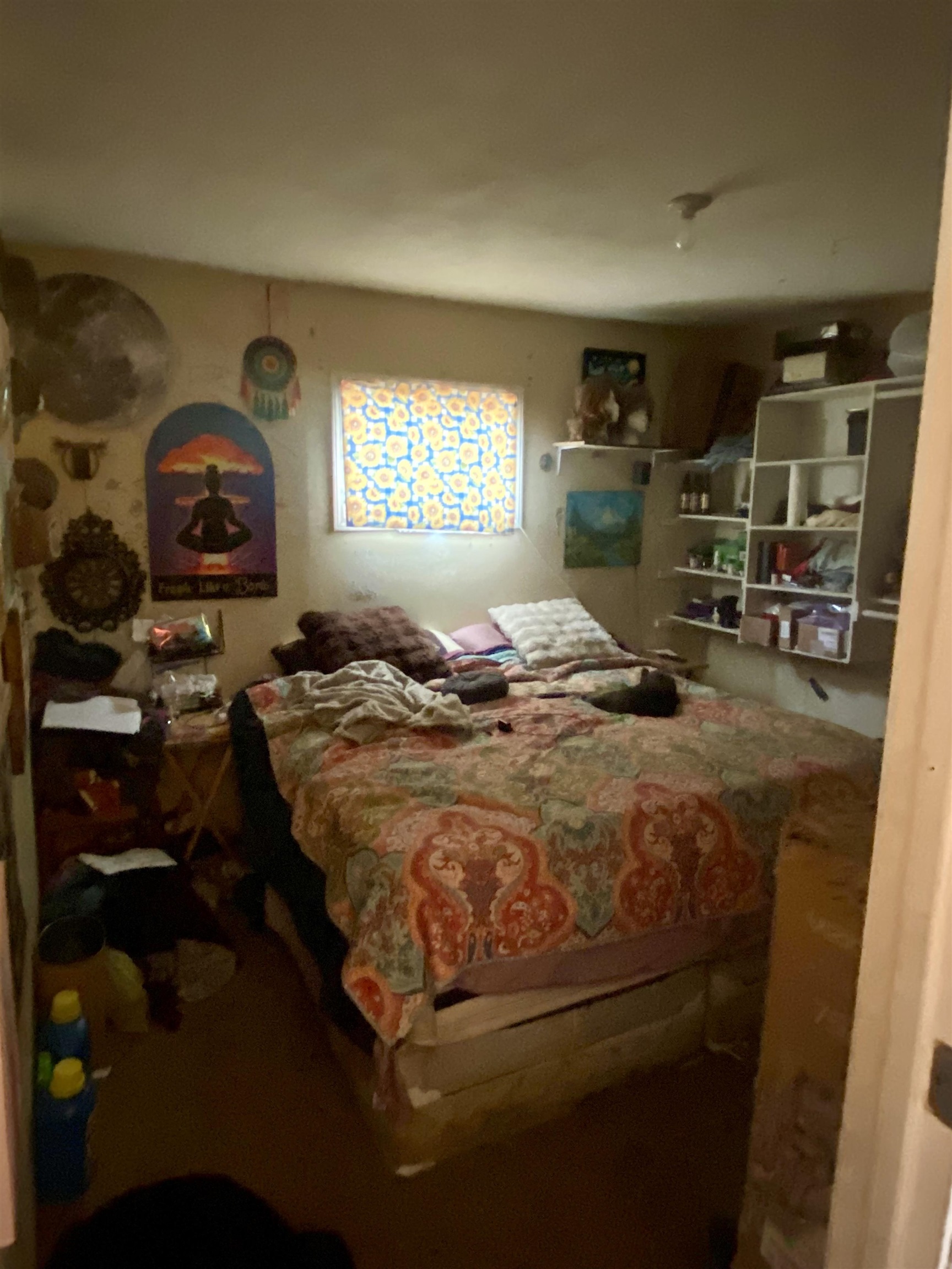 29 Oriole  Williford, AR