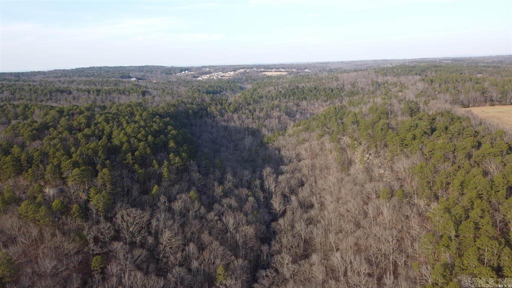 20 Acres  Pottsville, AR