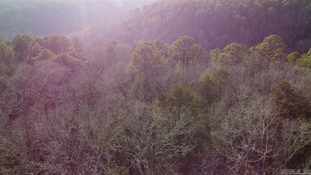 20 Acres  Pottsville, AR